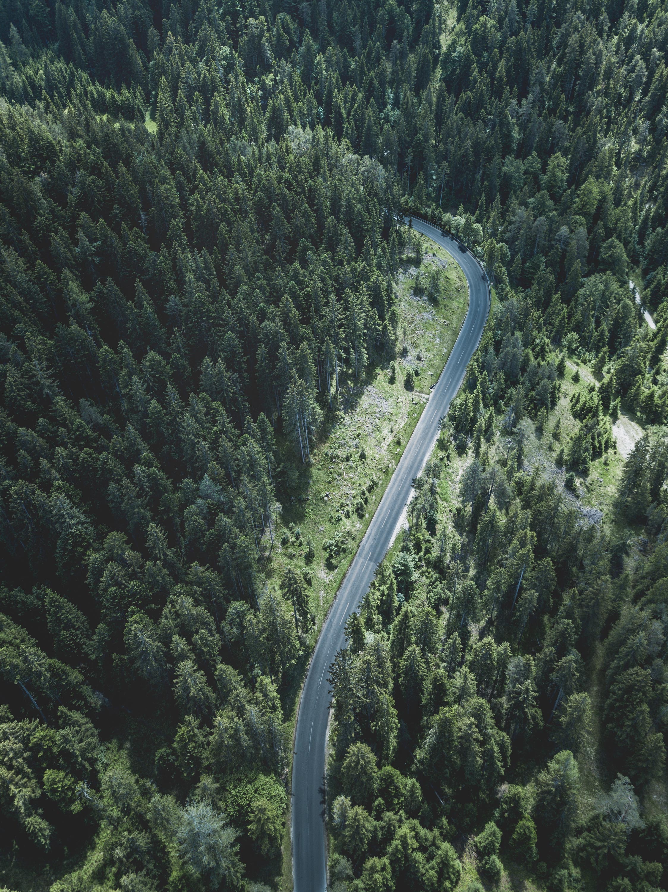nature, trees, view from above, road, turn, forest HD wallpaper