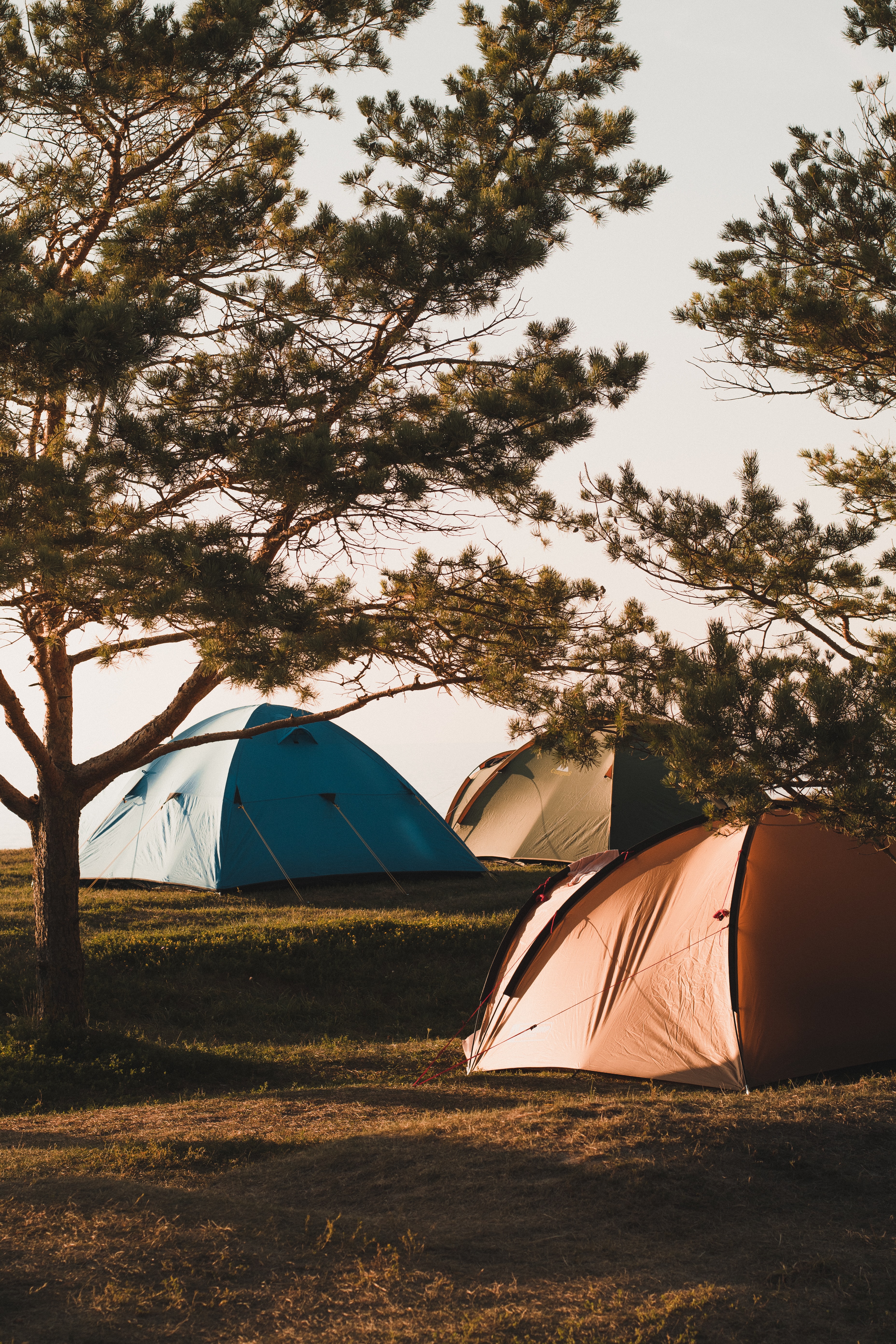 136593 Bildschirmschoner und Hintergrundbilder Camping auf Ihrem Telefon. Laden Sie bäume, campingplatz, zelte, ruhepause Bilder kostenlos herunter