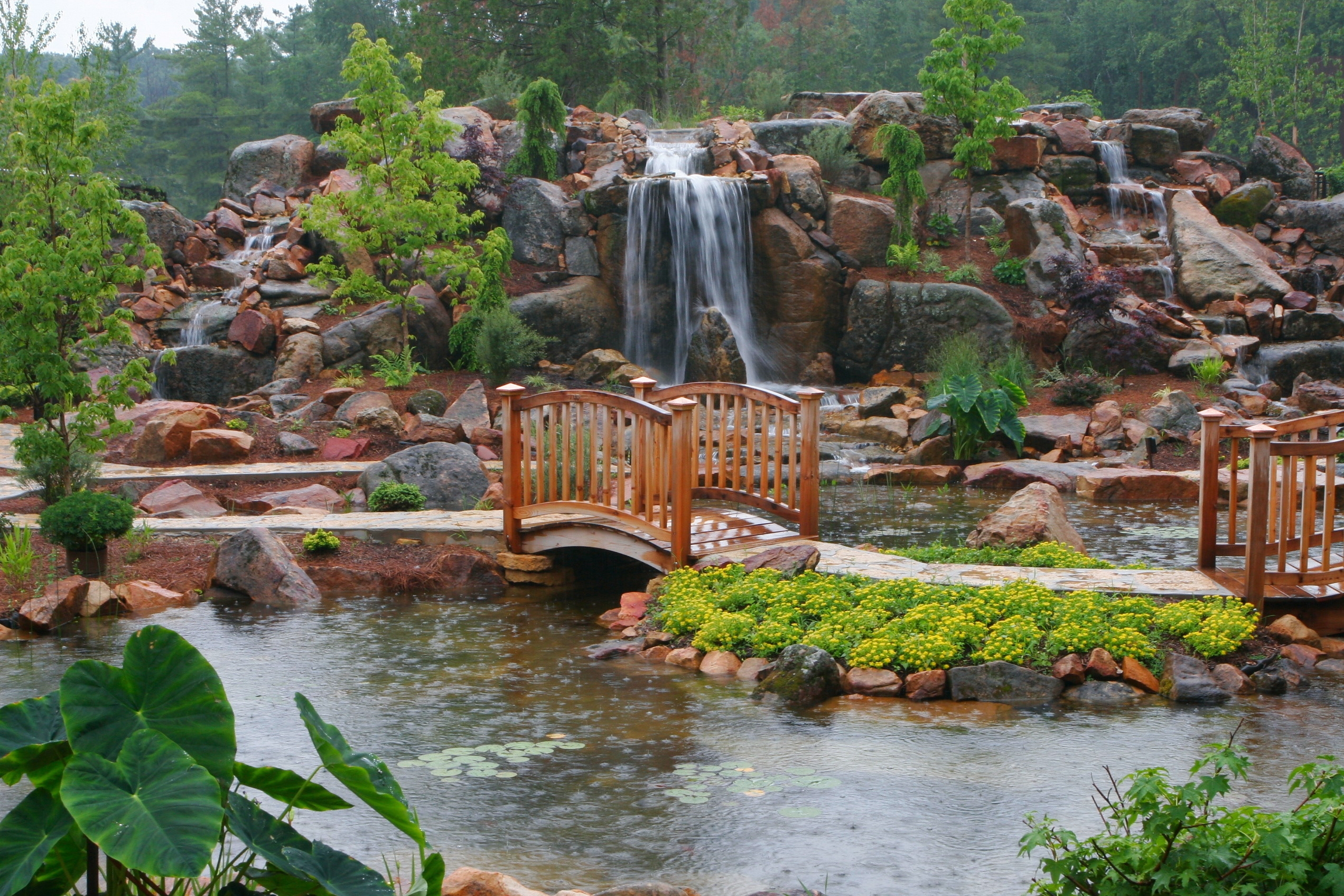 rain, garden, nature, waterfall, bridge, track Free Stock Photo