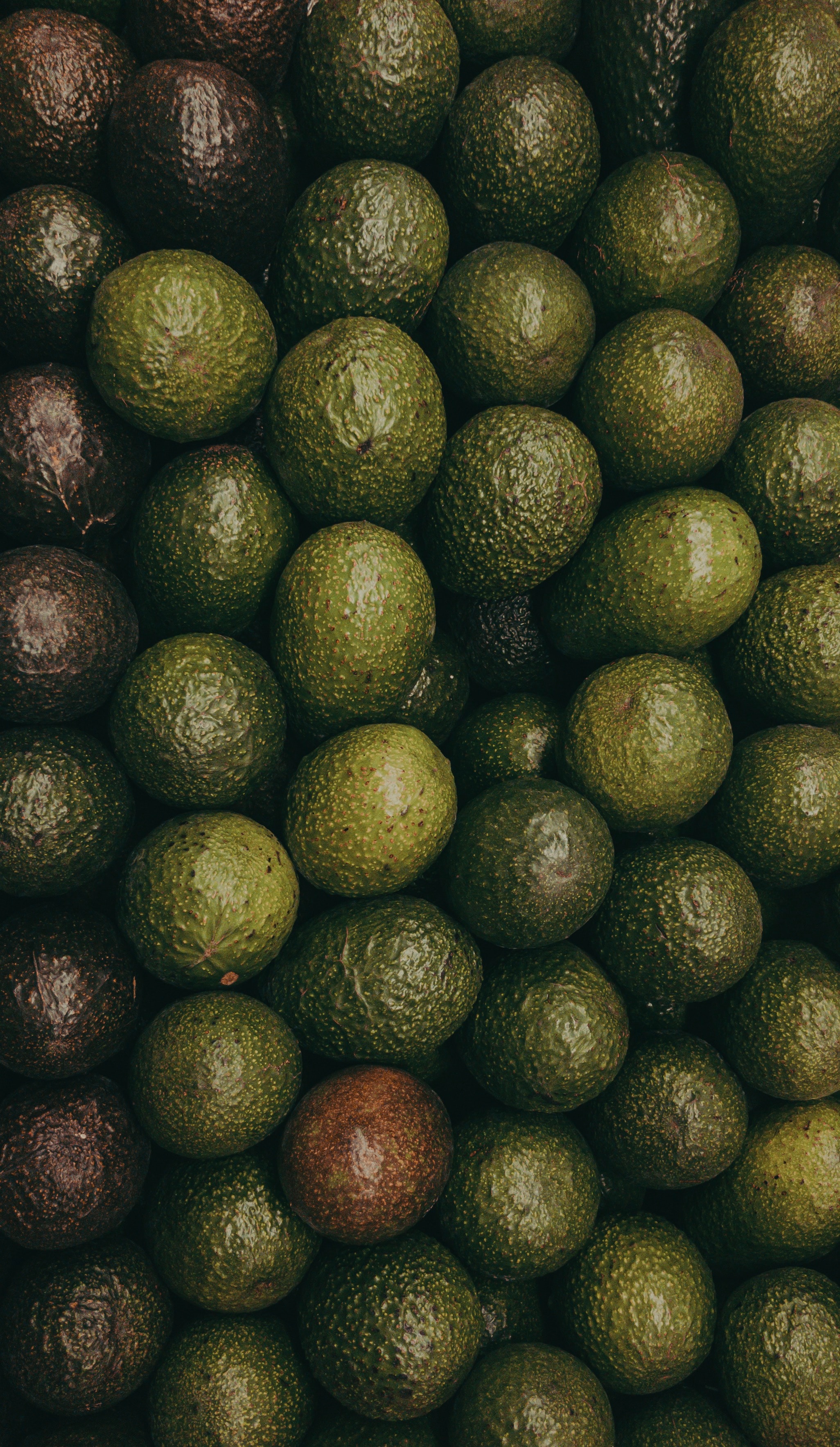 72477 download wallpaper fruits, green, texture, textures, avocado screensavers and pictures for free