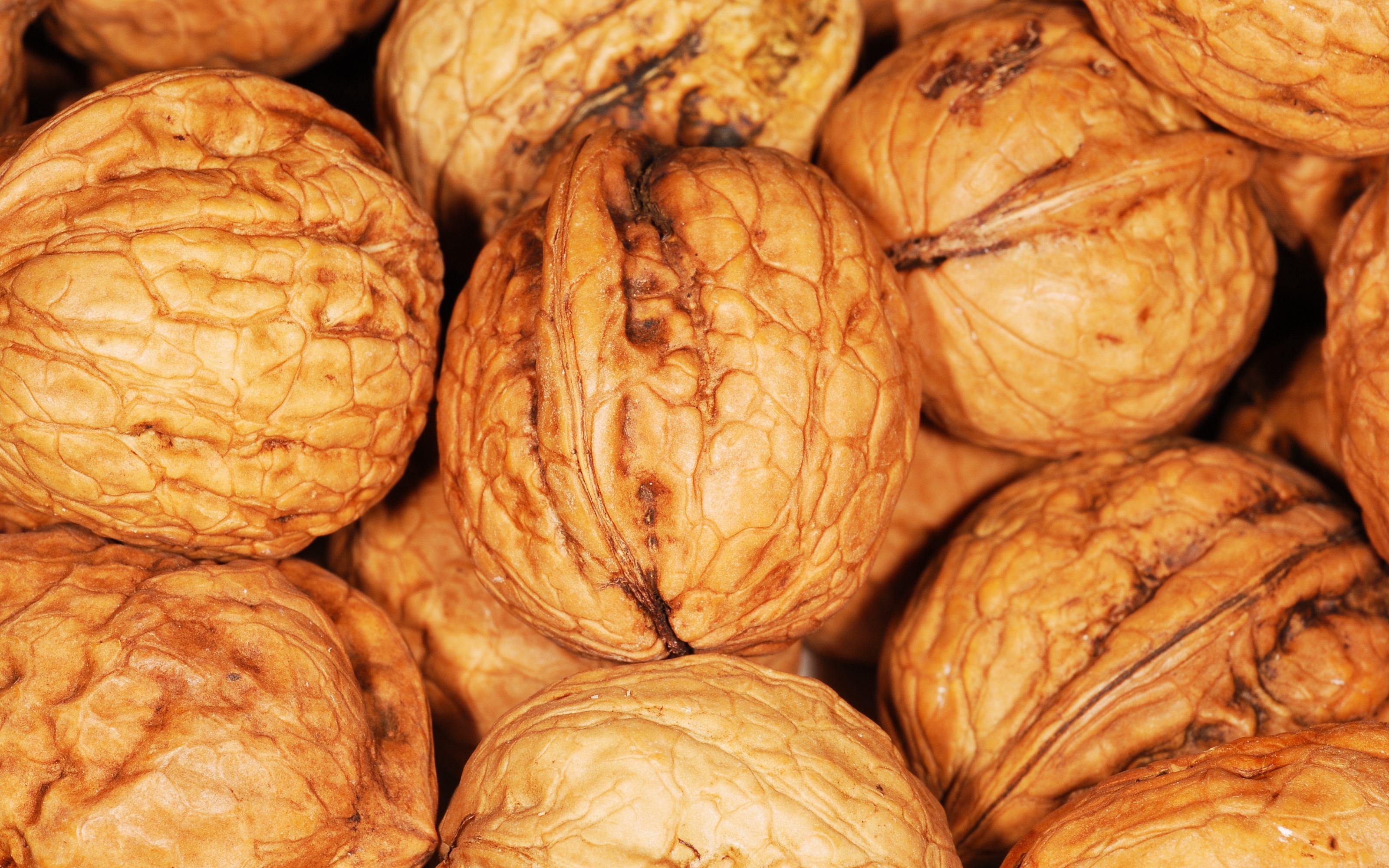 69365 download wallpaper food, nuts, shell, walnut screensavers and pictures for free