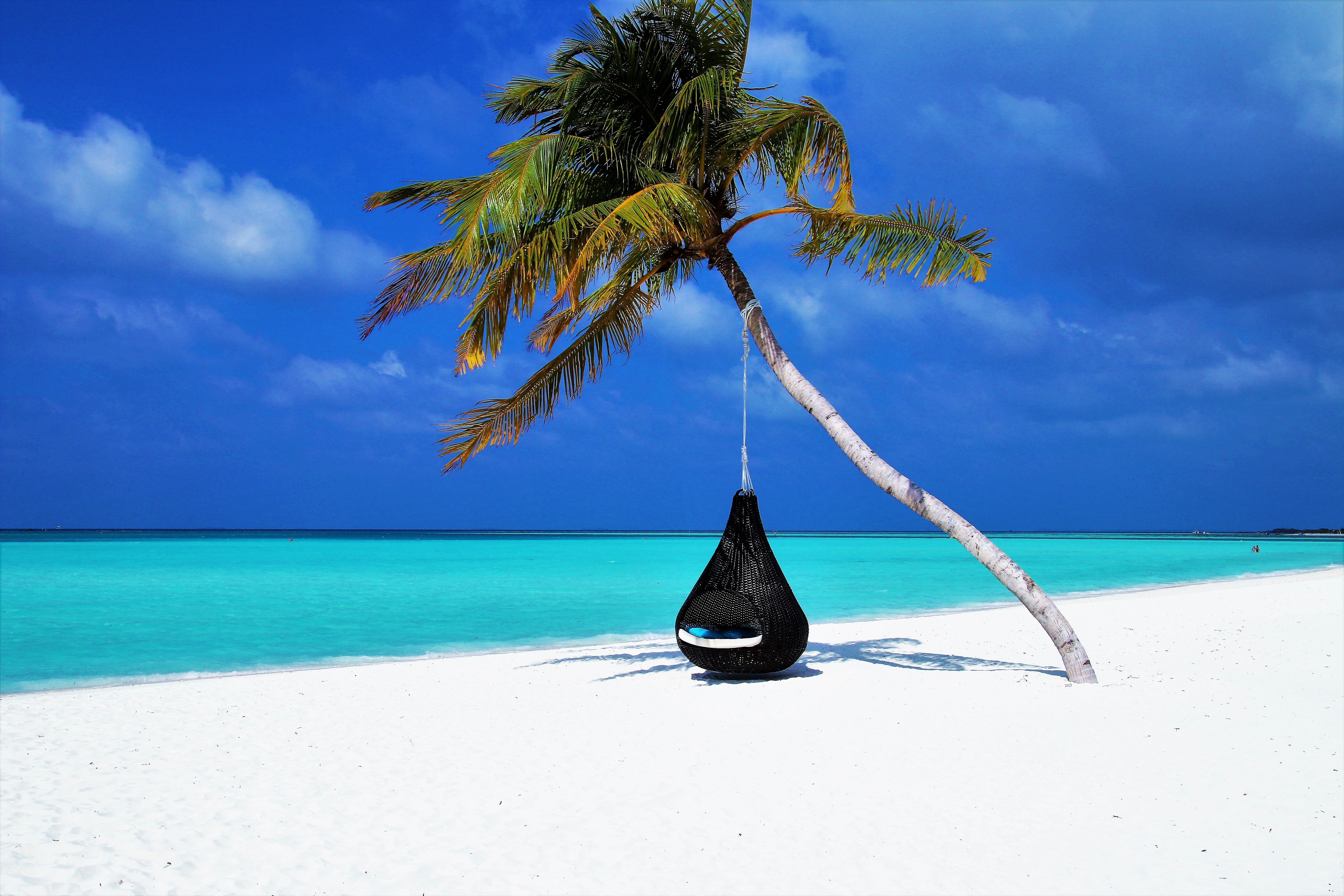 maldives, palm, ocean, beach Windows Mobile Wallpaper