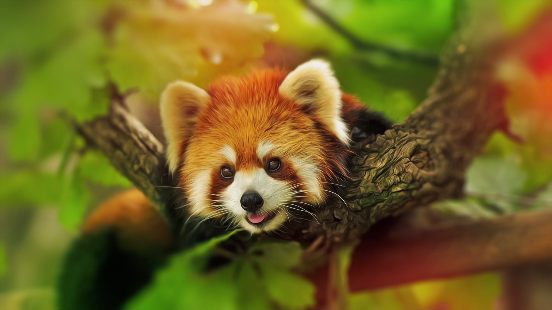 Hình nền Red Panda với hình ảnh tuyệt đẹp và đầy cuốn hút. Bạn sẽ thấy được tính cách độc đáo của loài động vật này qua những hình ảnh hoang dã, đầy ma mị và đầy sức sống. Tải về ngay để cảm nhận sự độc đáo của chúng.