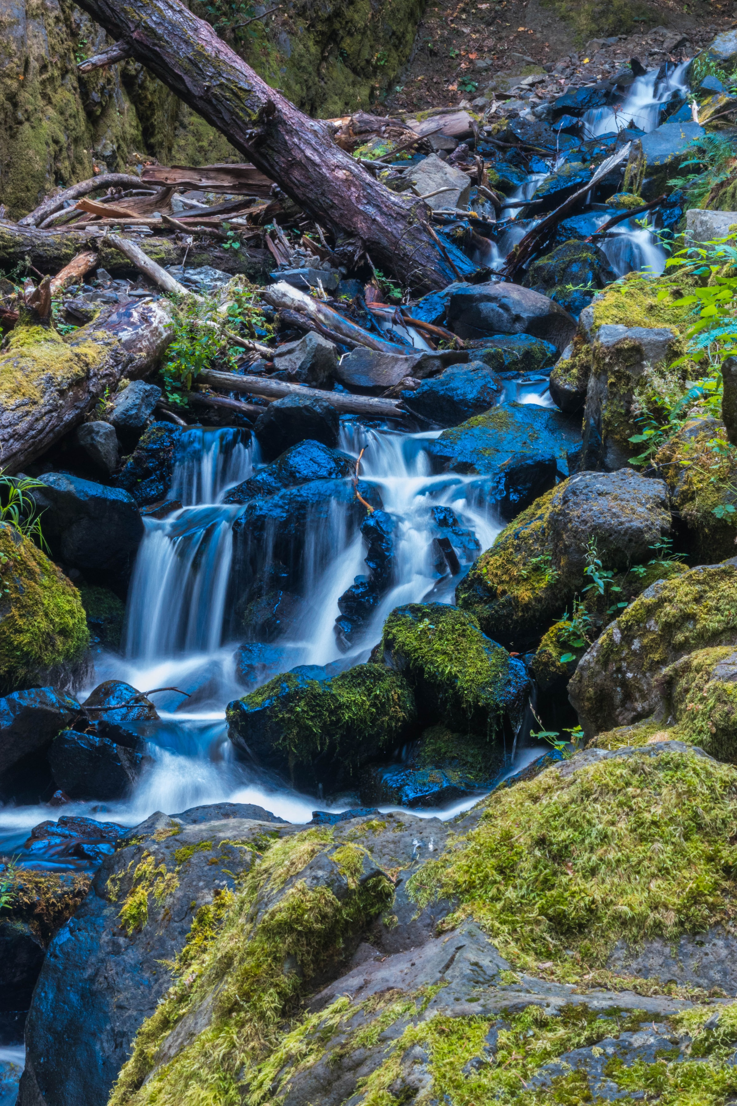 vertical wallpaper waterfall, nature, stones, flow, moss, stream, log