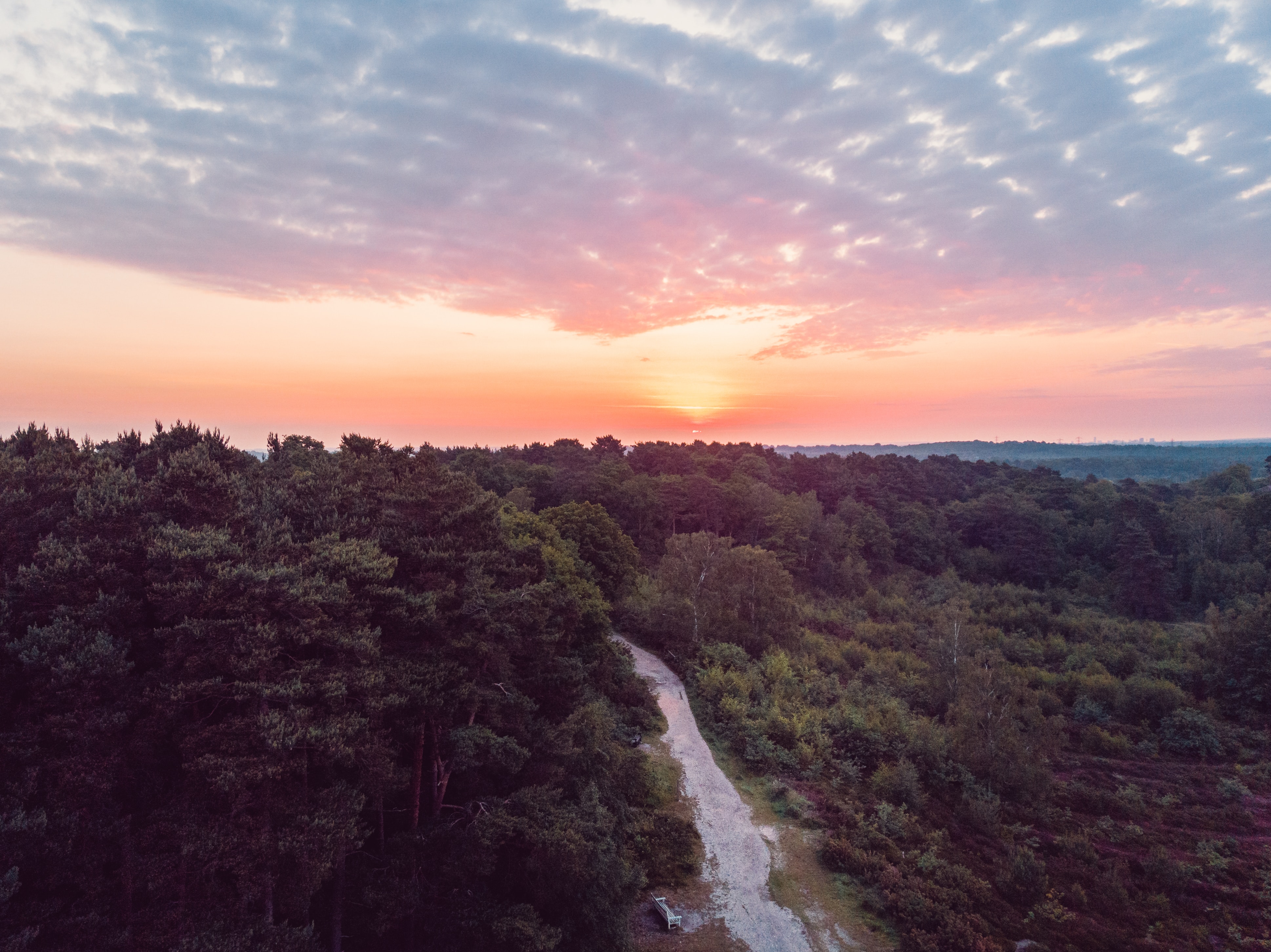 Handy-Wallpaper Natur, Sunset, Blick Von Oben, Horizont, Wald, Spur, Track kostenlos herunterladen.