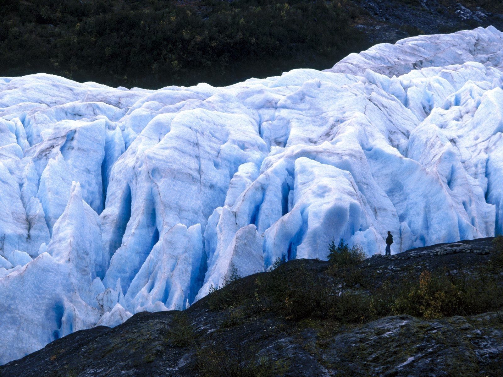 Laden Sie das Natur, Mensch, Person, Gletscher, Kalt, Alaska-Bild kostenlos auf Ihren PC-Desktop herunter