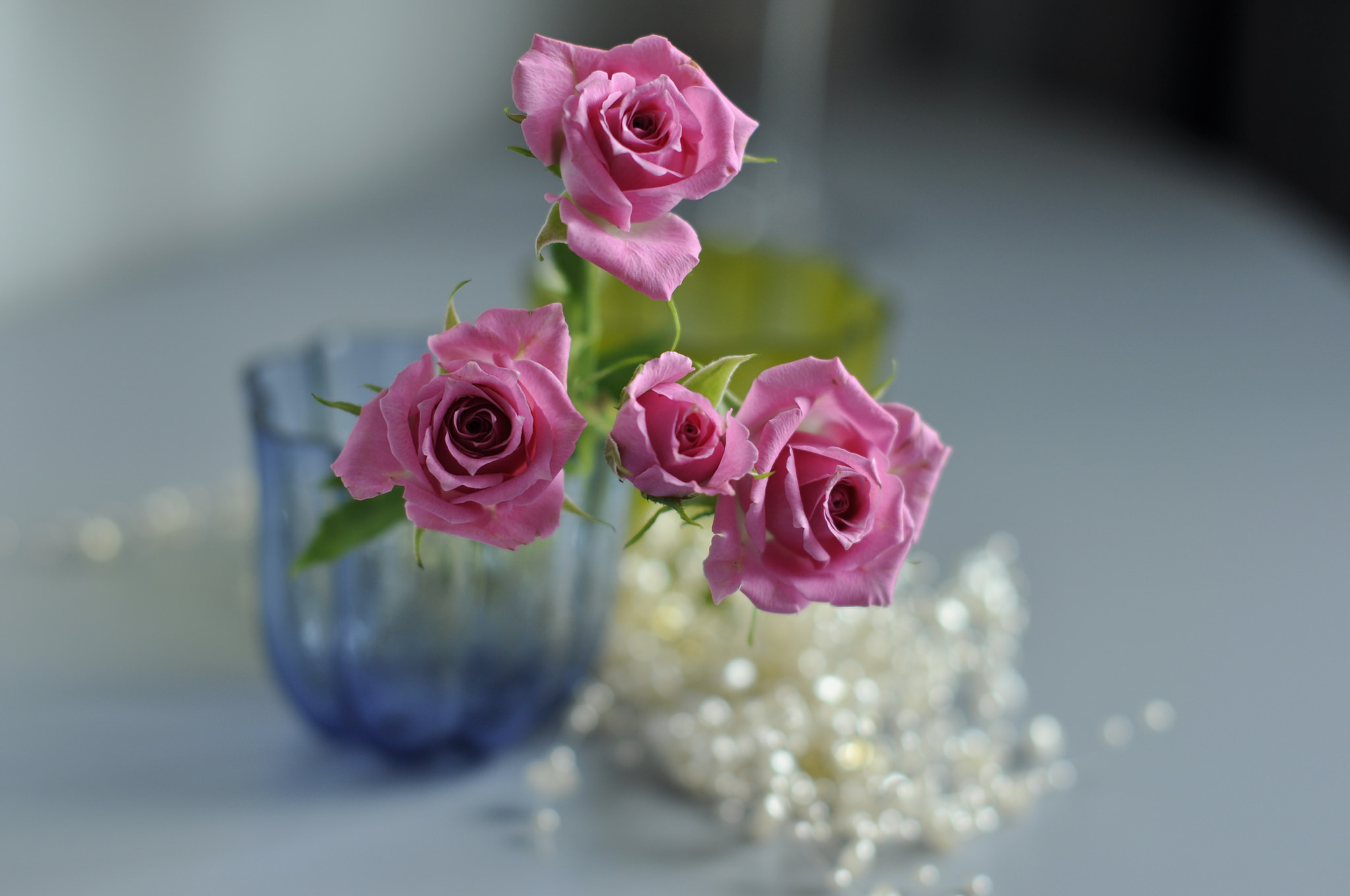51097 скачать обои размытость, ваза, цветы, макро, роза - заставки и картинки бесплатно