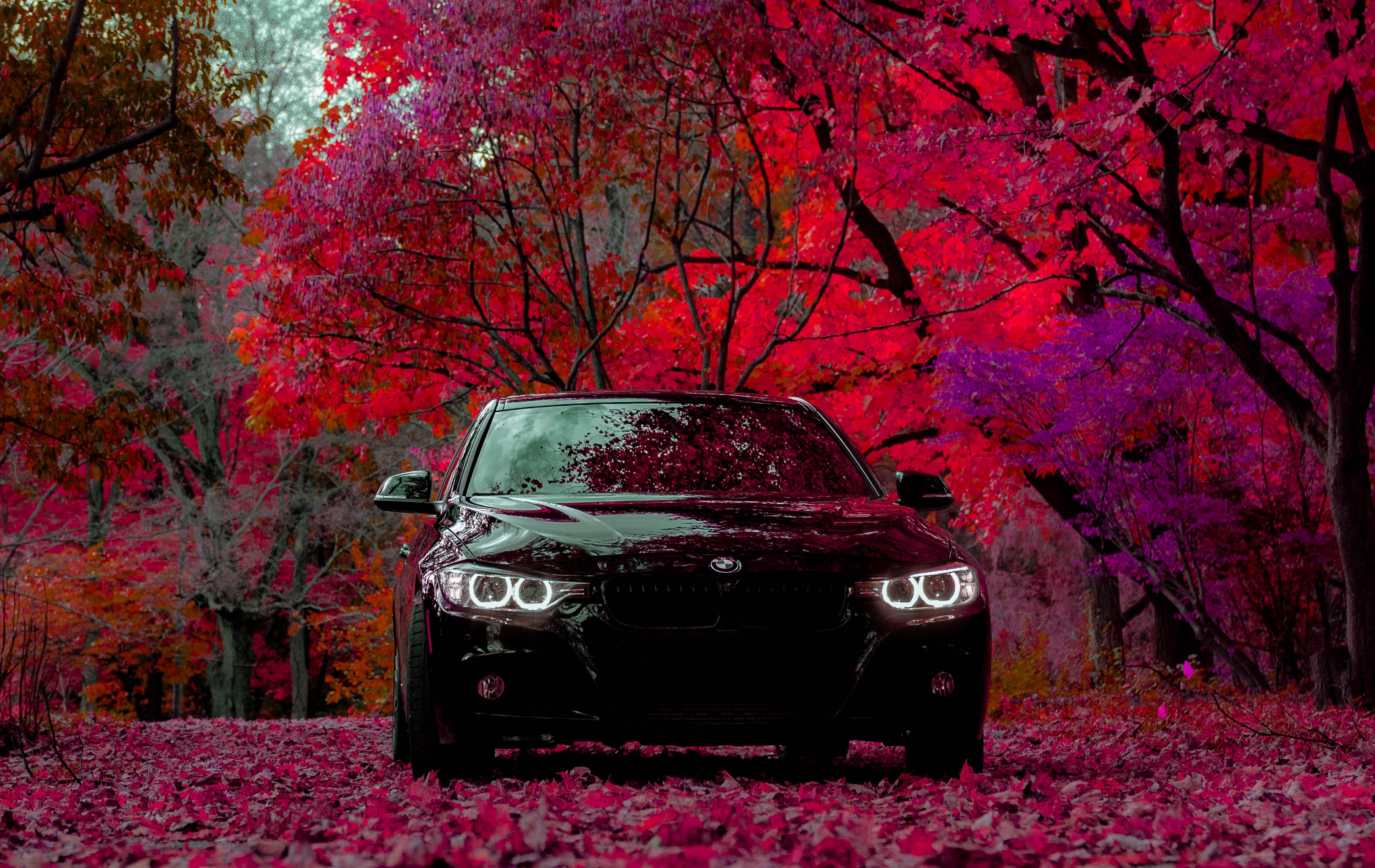 Mobile wallpaper bmw, cars, black, forest, car, front view, machine, bmw f30 335i
