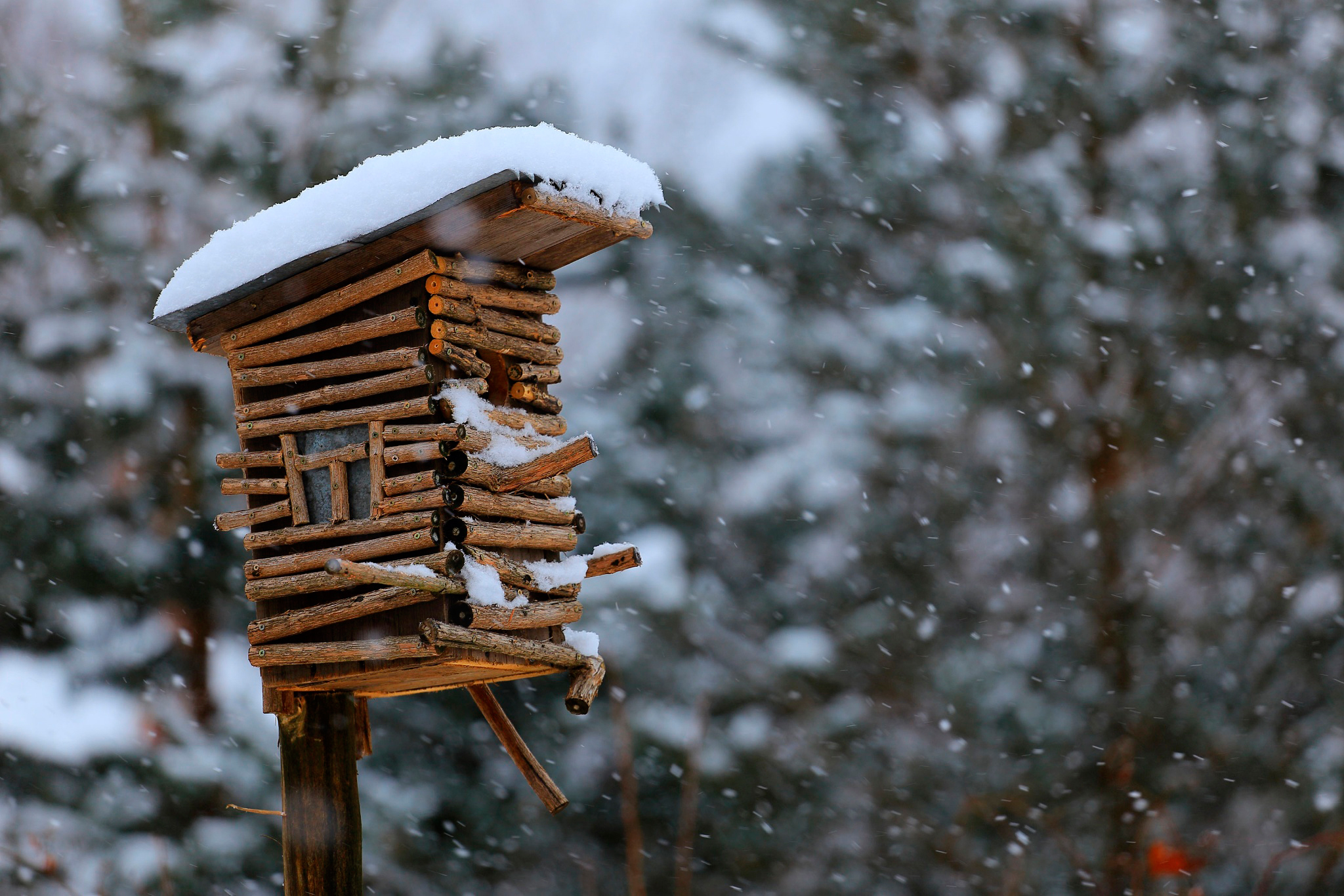 winter, birdhouse, miscellanea, snow collection of HD images