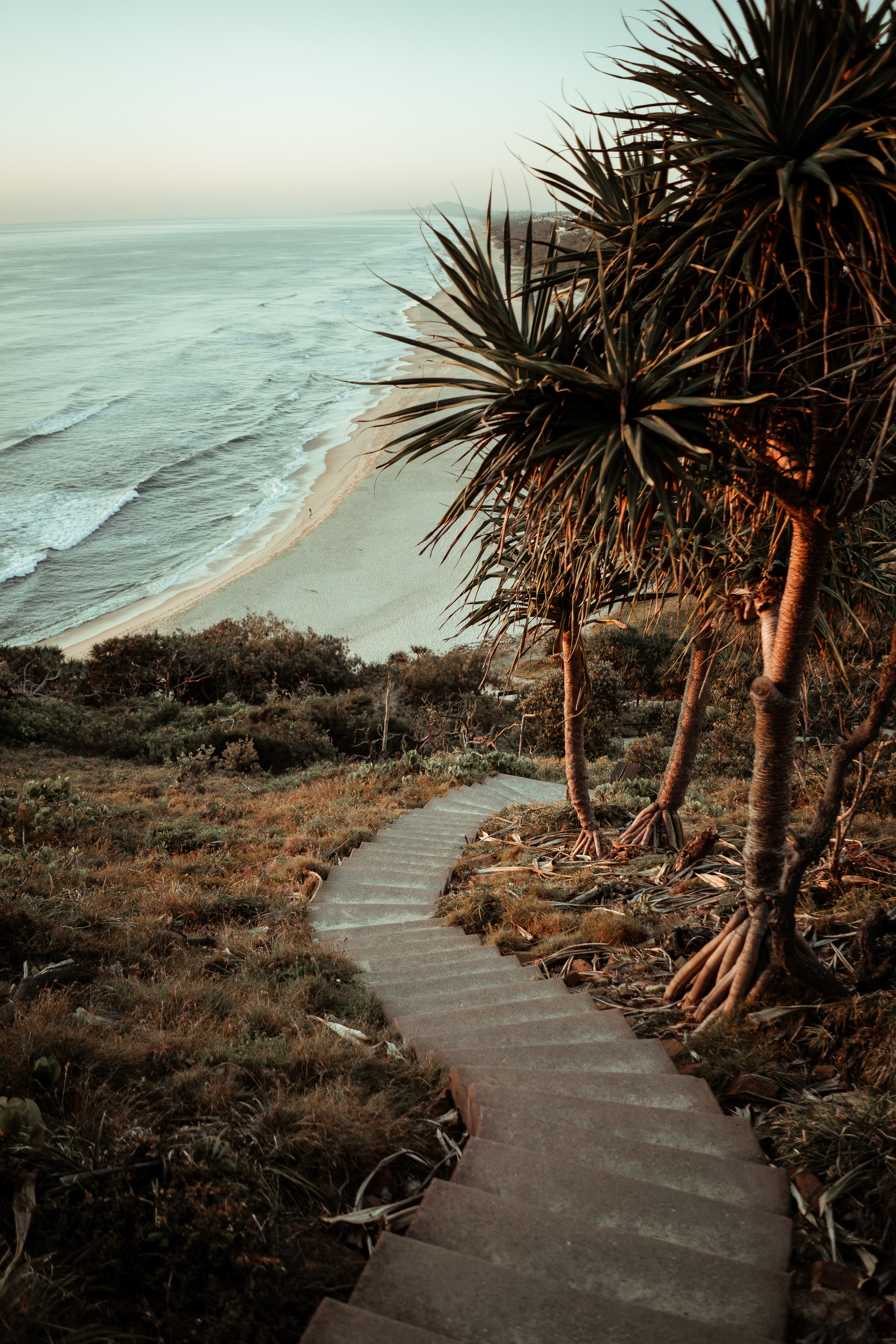 ocean, nature, palms, stairs, ladder
