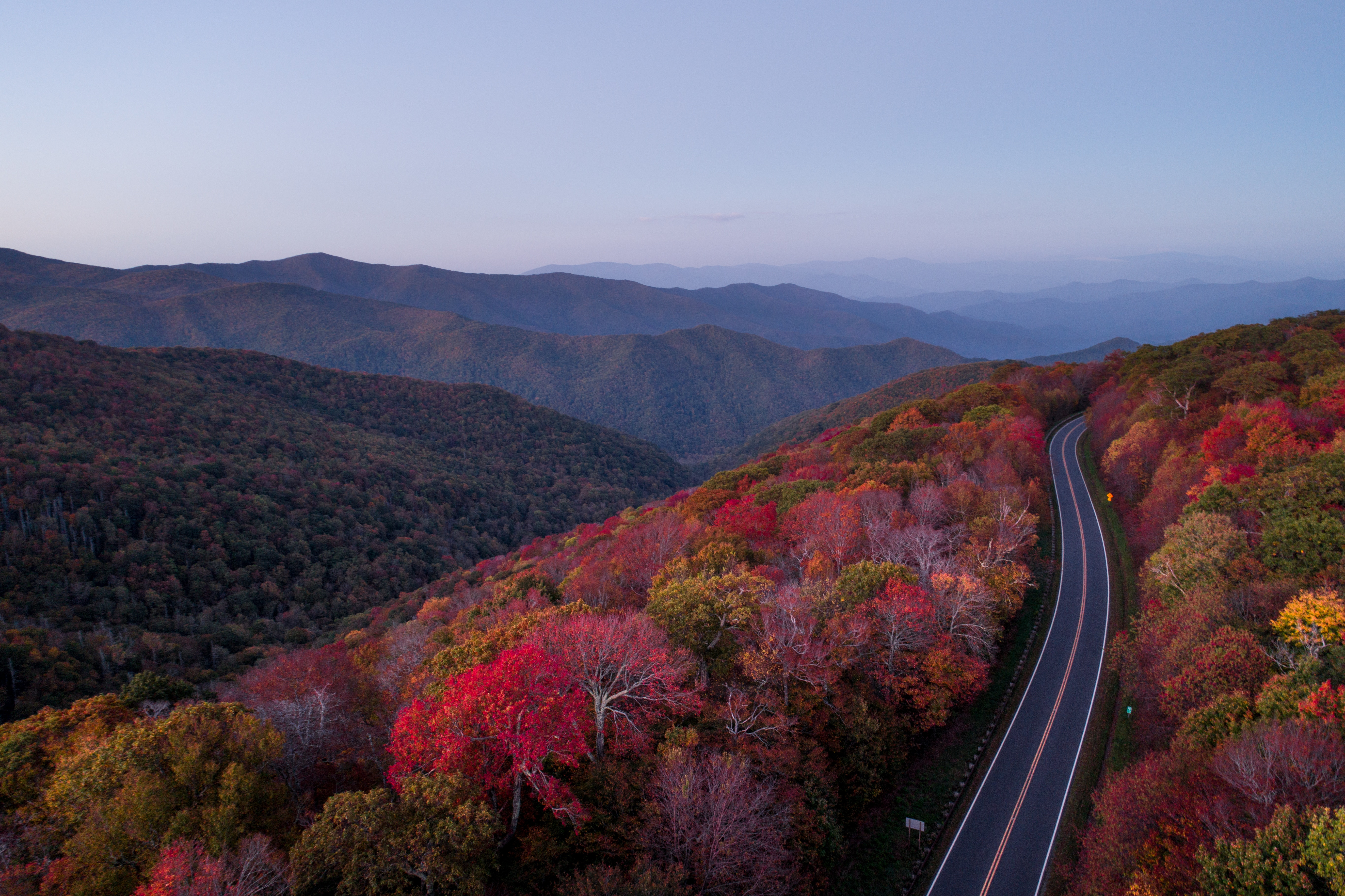 autumn, trees, nature, road download HD wallpaper