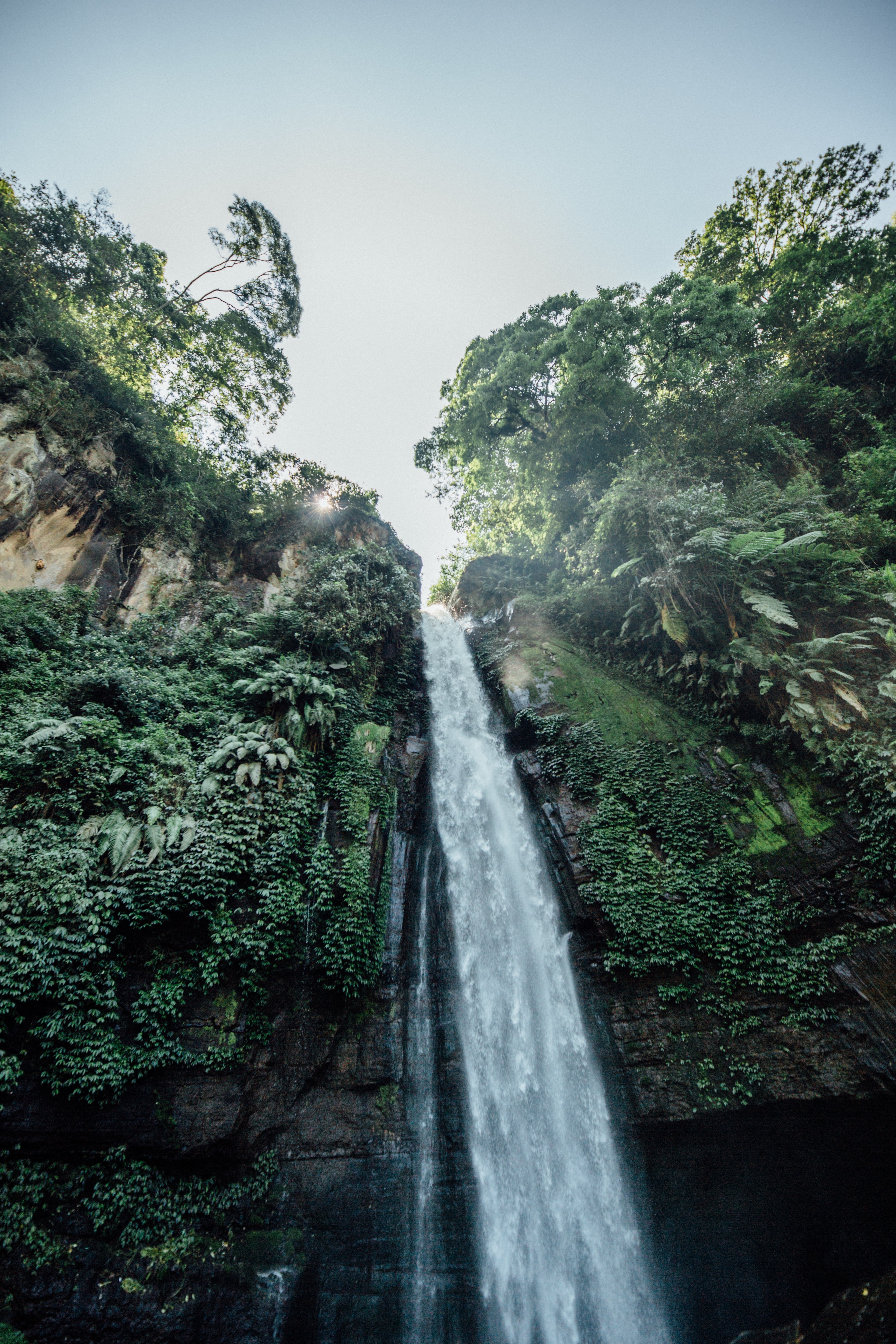 precipice, vegetation, bush, waterfall Free Pure 4K Ultra