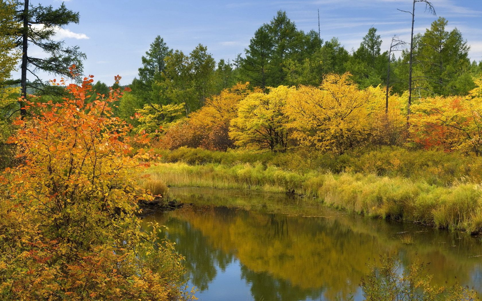 お使いの携帯電話の157637スクリーンセーバーと壁紙川。 木, 反射, 秋, 自然の写真を無料でダウンロード