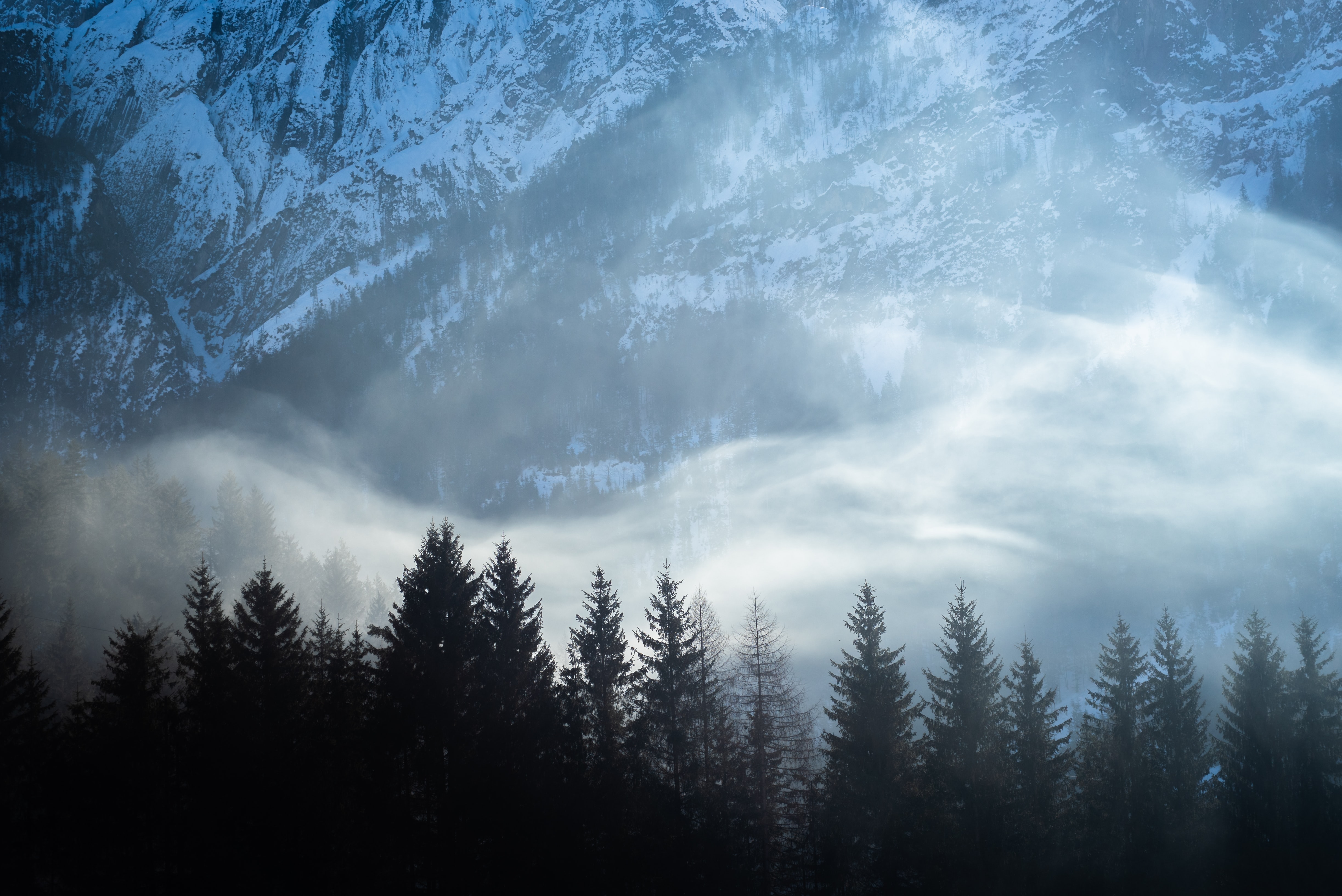 snow, nature, fog, mountains, fir trees, landscape 4K