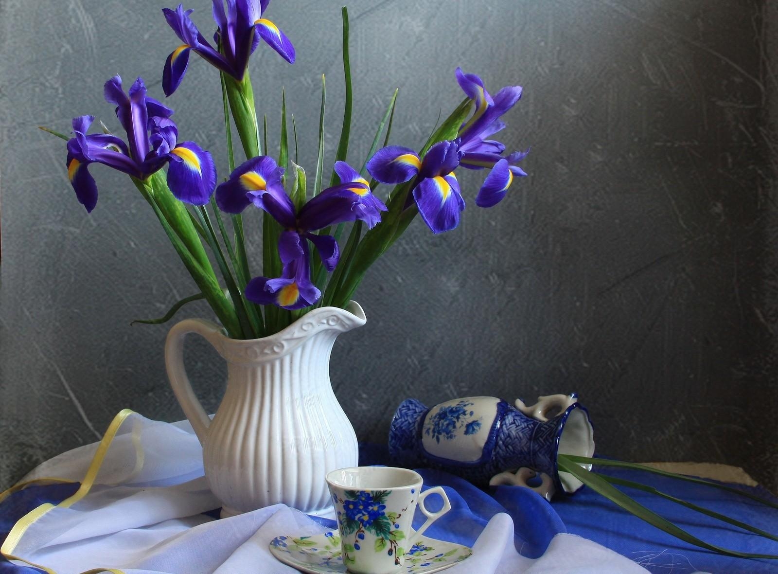 Laden Sie das Blumen, Krug, Schwertlilien, Irises, Tischdecke, Tee Paar, Tee-Paar-Bild kostenlos auf Ihren PC-Desktop herunter