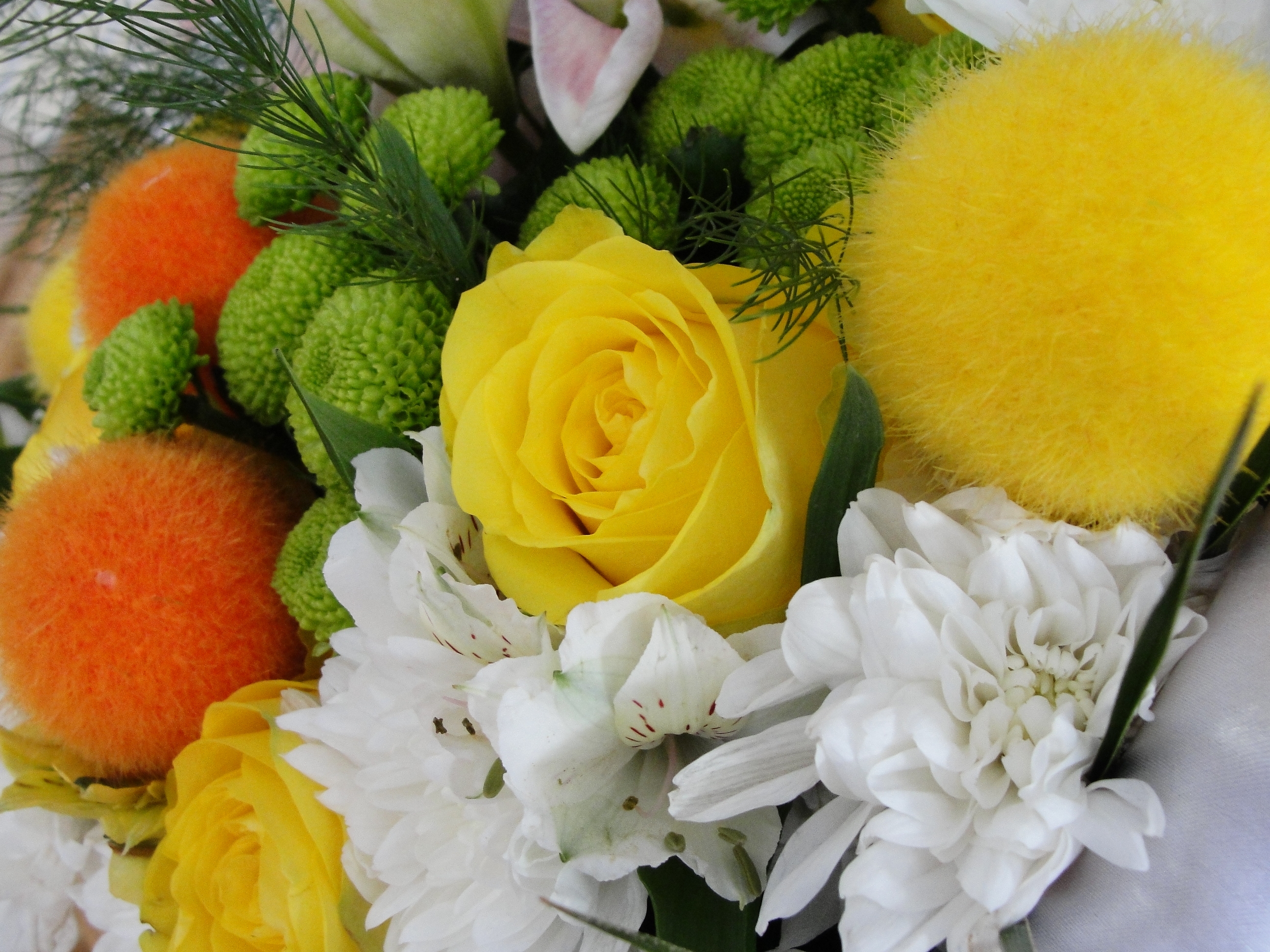 Laden Sie das Blumen, Rose, Nahaufnahme, Schönheit, Strauß, Bouquet, Nahansicht, Taw, Ballons-Bild kostenlos auf Ihren PC-Desktop herunter