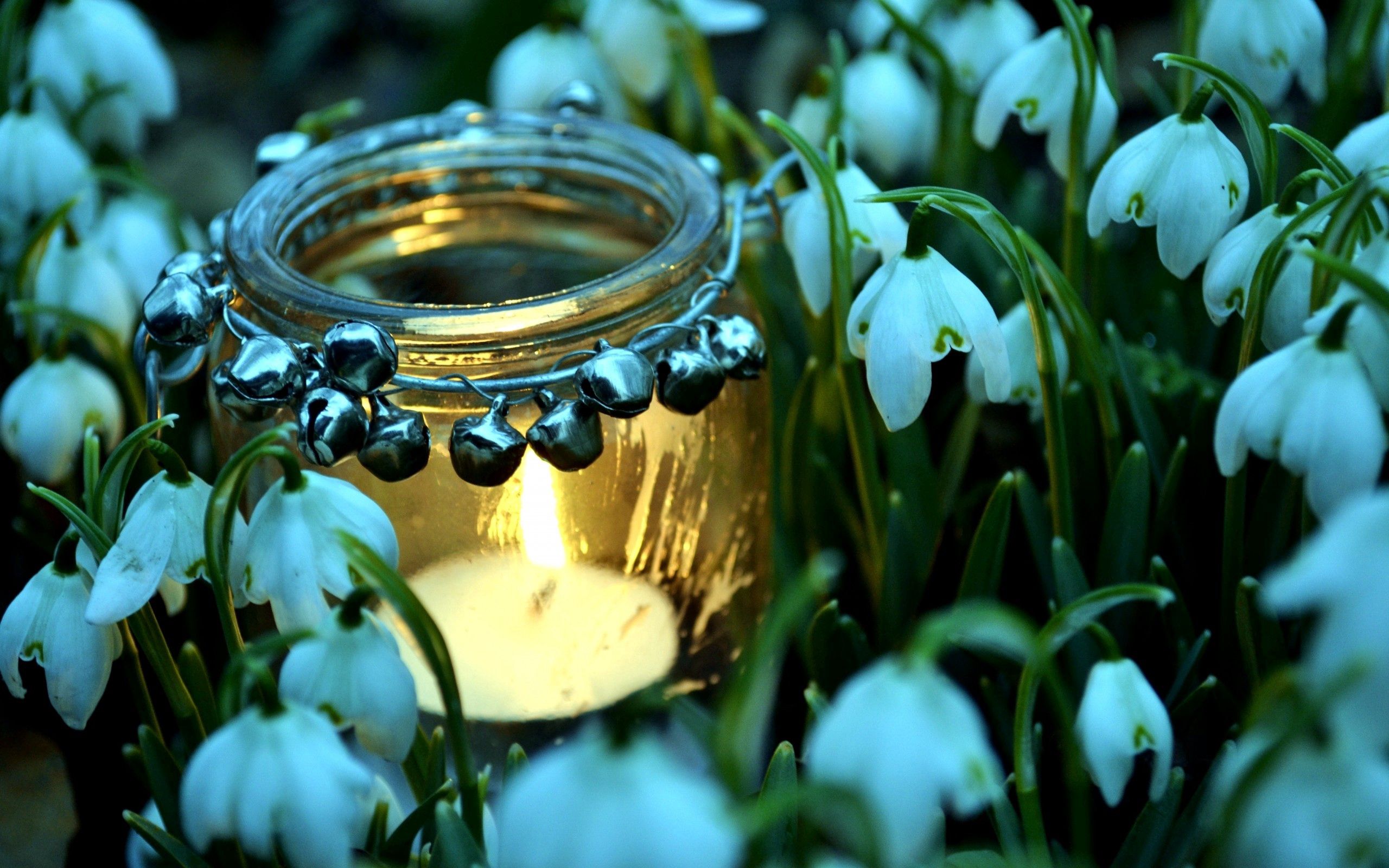 Mobile HD Wallpaper Snowdrops flowers, candle, miscellanea, jar