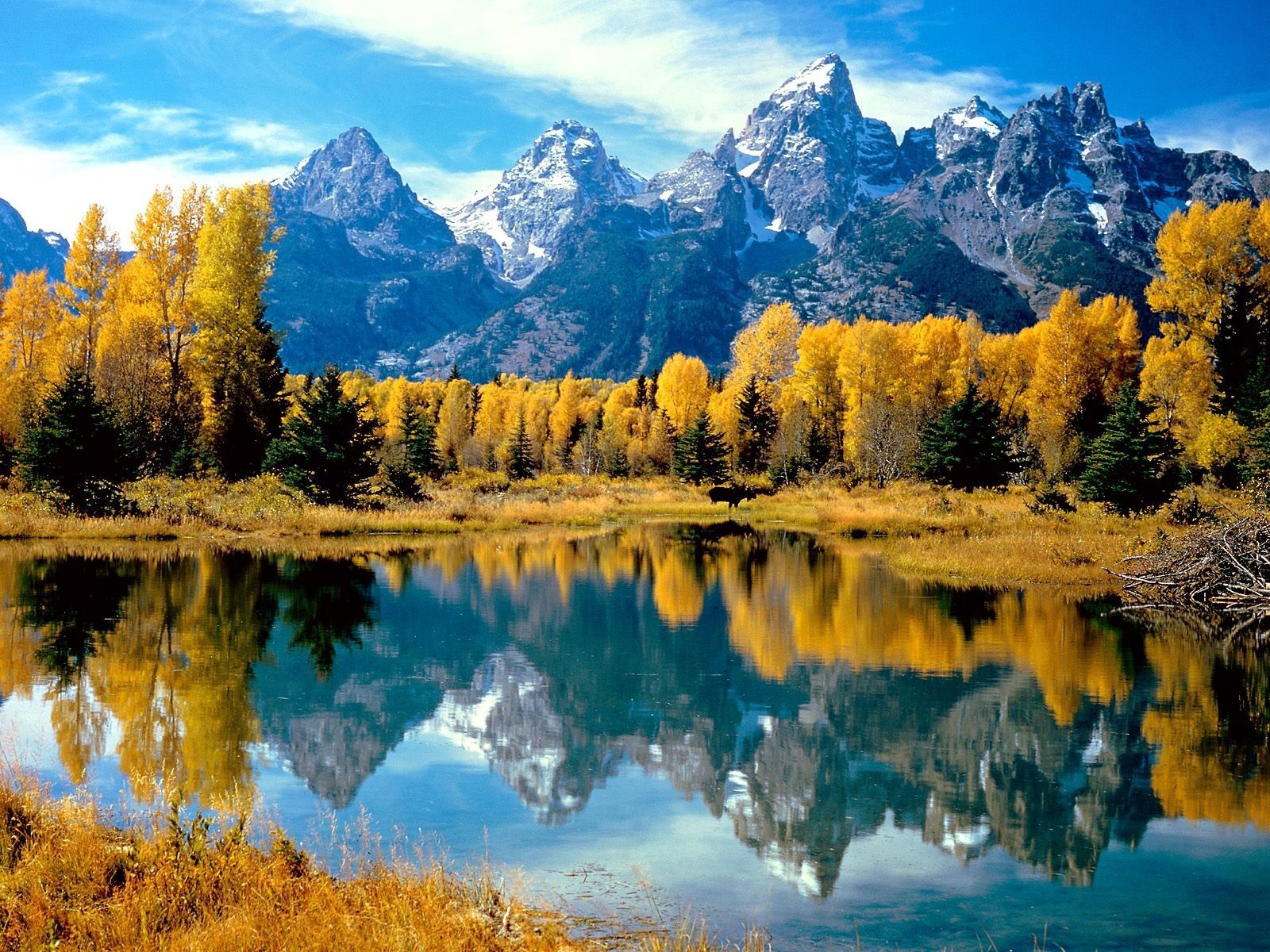 102274 Hintergrundbilder und Wyoming Bilder auf dem Desktop. Laden Sie natur, nationalpark, reflexion, herbst Bildschirmschoner kostenlos auf den PC herunter