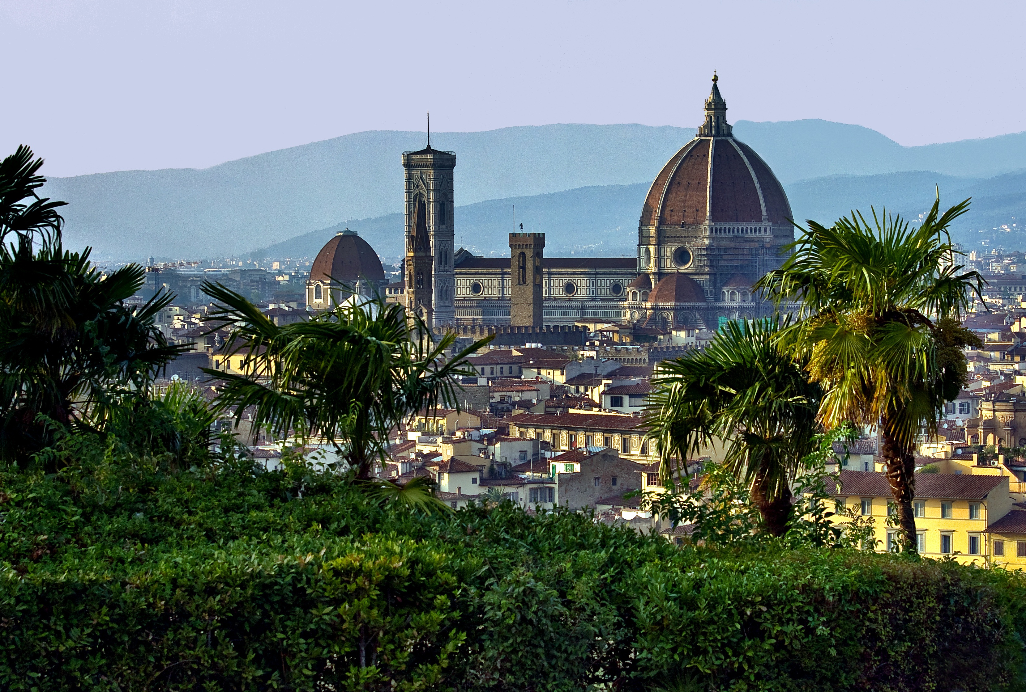 Laden Sie das Toskana, Städte, Palms, Italien, Kuppel, Florenz-Bild kostenlos auf Ihren PC-Desktop herunter