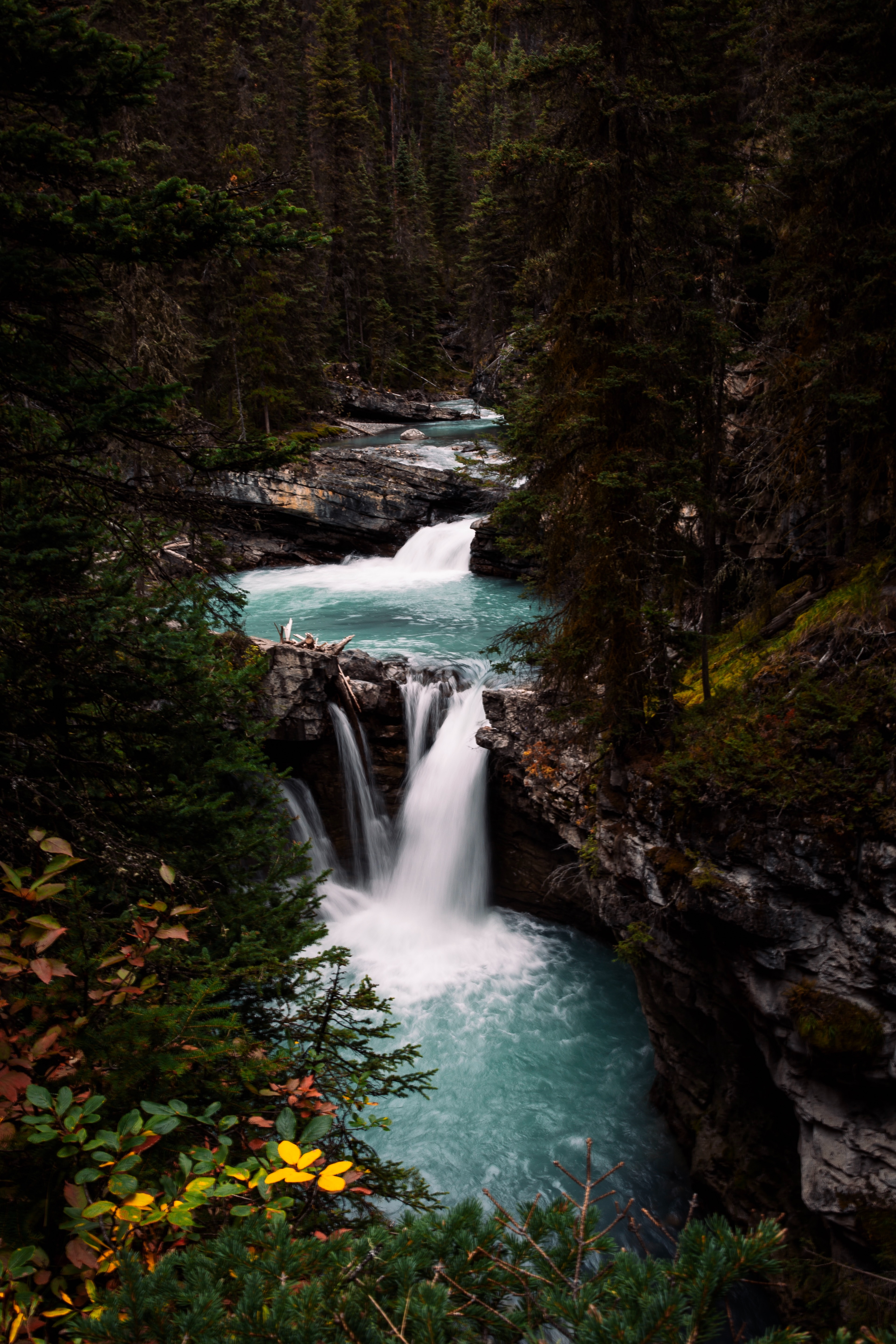 rivers, landscape, nature, waterfall, forest QHD
