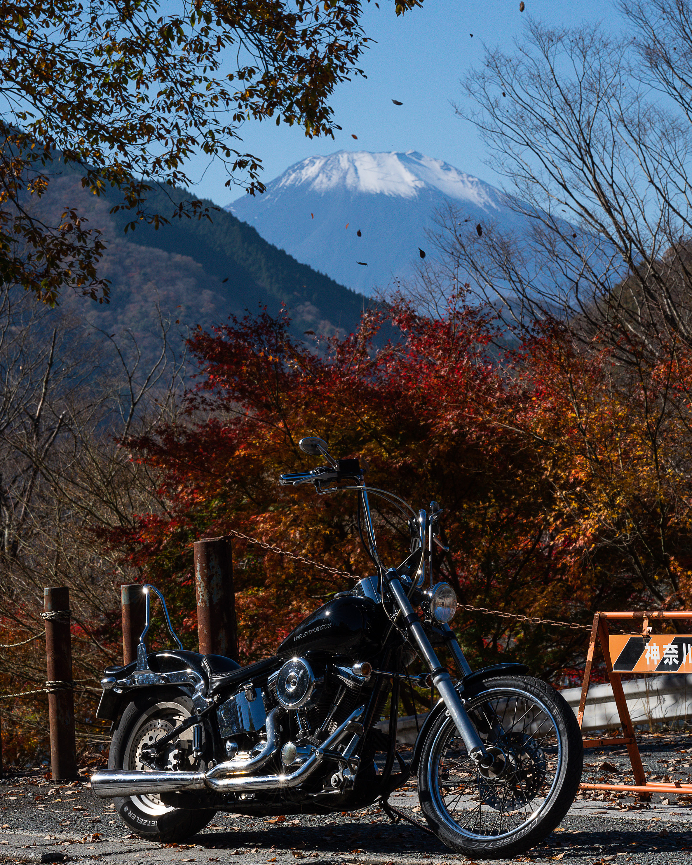 108638 скачать обои чоппер, мотоциклы, байк, осень, природа, черный, мотоцикл - заставки и картинки бесплатно