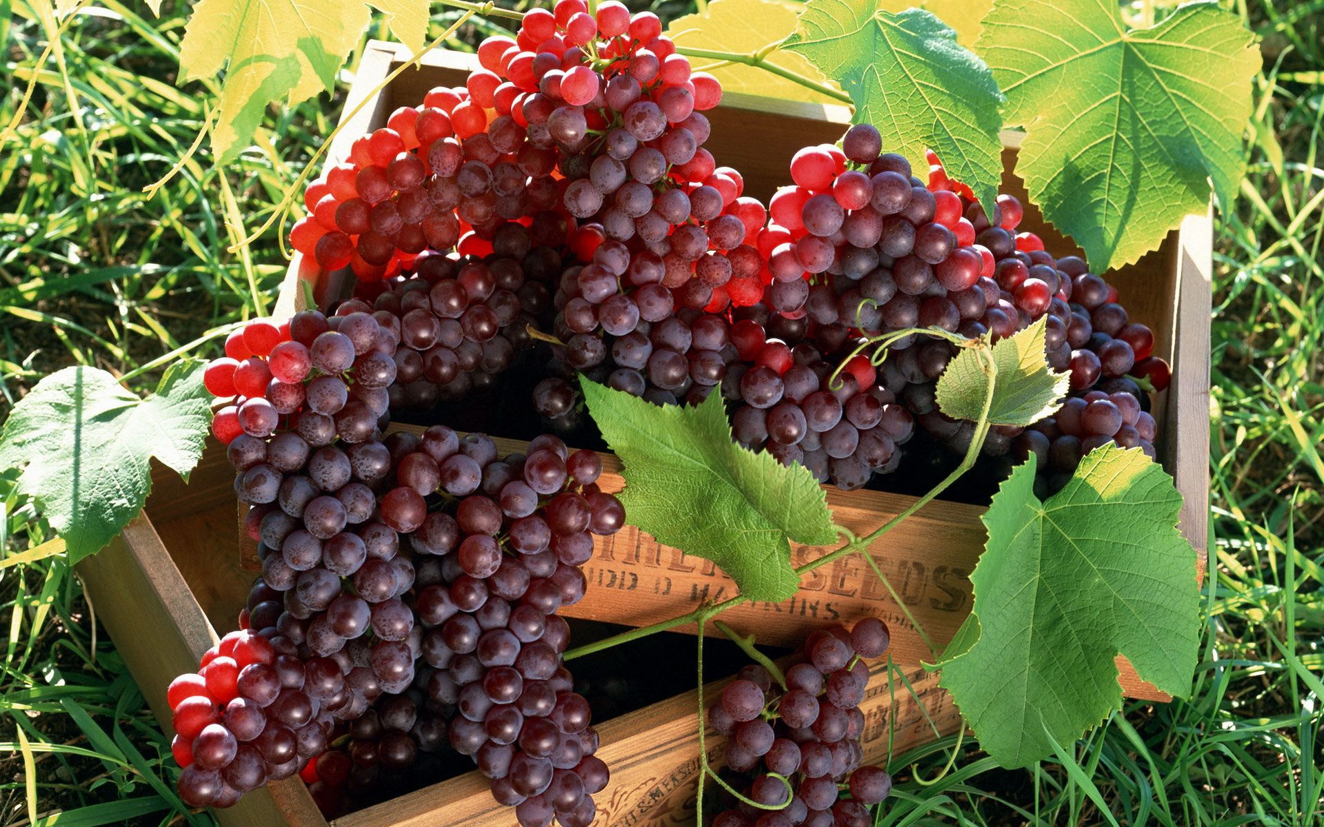 grapes, food, fruits, bunches, clusters, boxes 8K