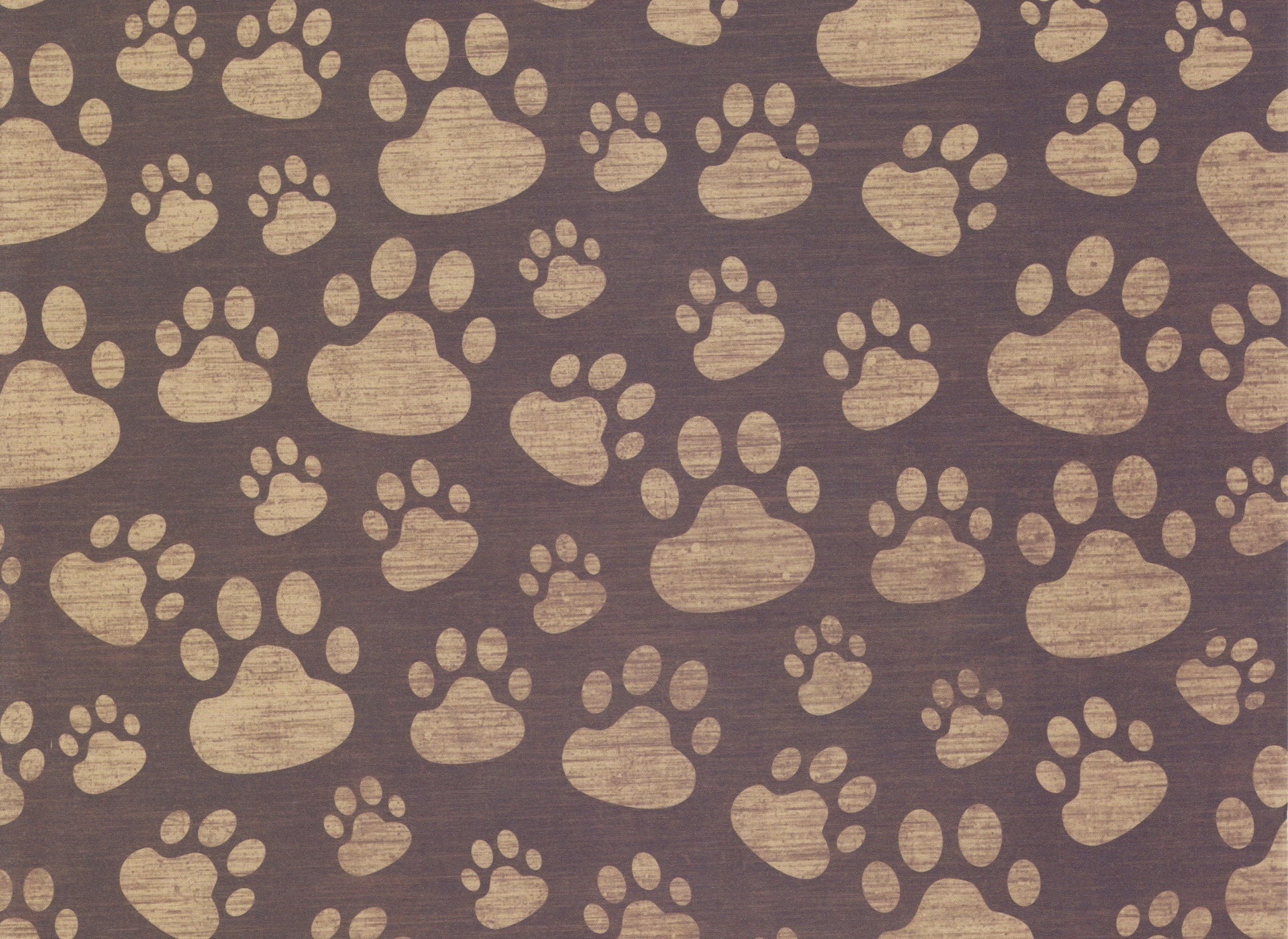111757 Screensavers and Wallpapers Paws for phone. Download texture, textures, surface, traces, paws pictures for free