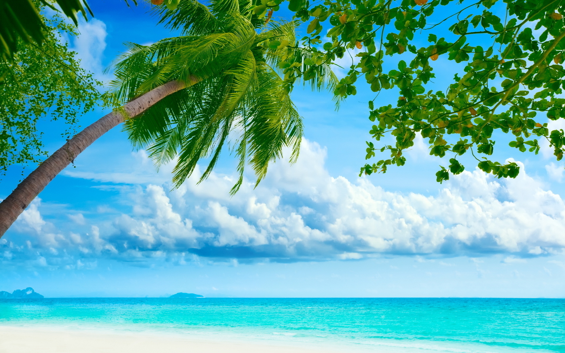 beach, sea, landscape Smartphone Background