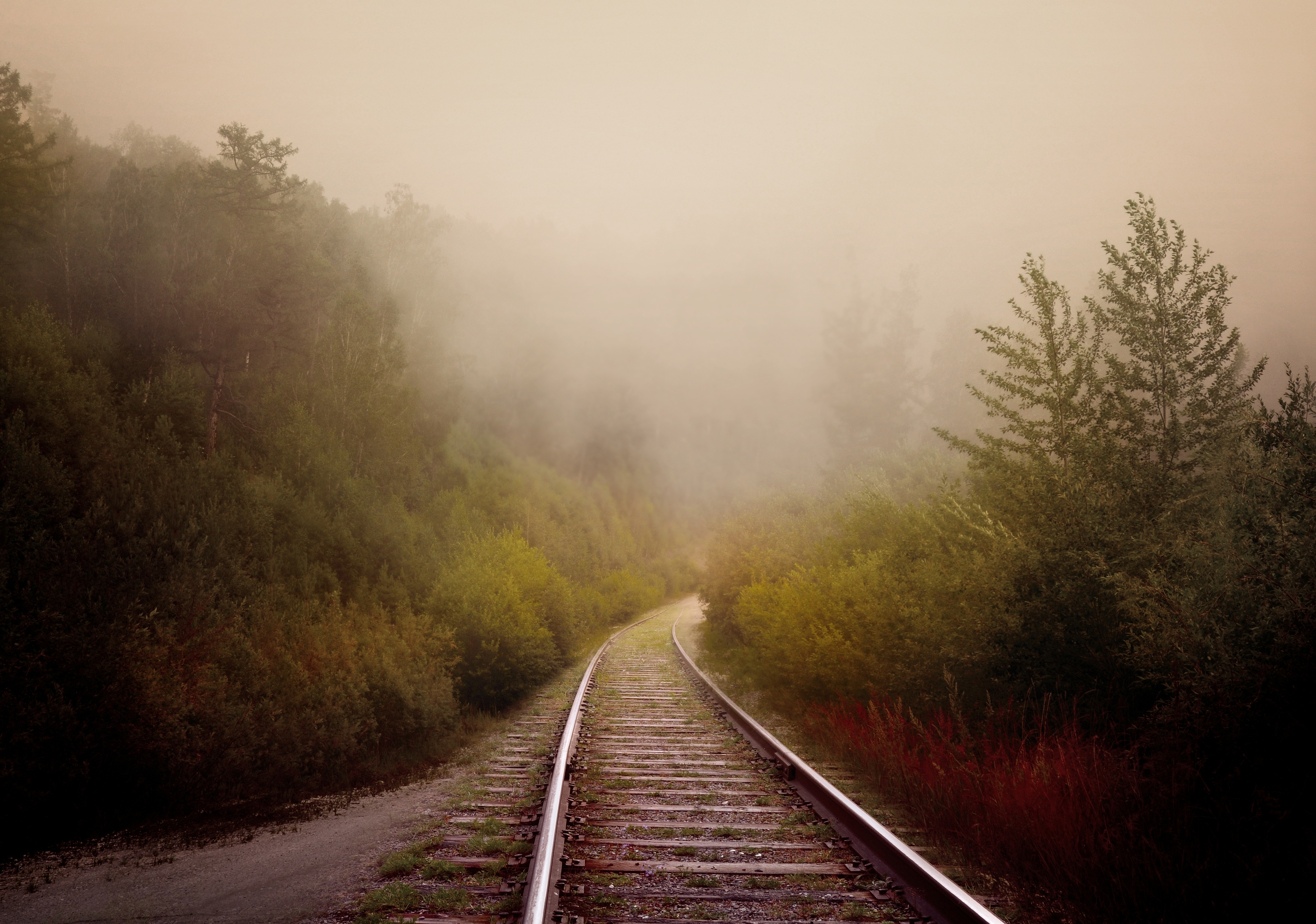 134551 Bildschirmschoner und Hintergrundbilder Eisenbahn auf Ihrem Telefon. Laden Sie natur, nebel, bäume, wende Bilder kostenlos herunter