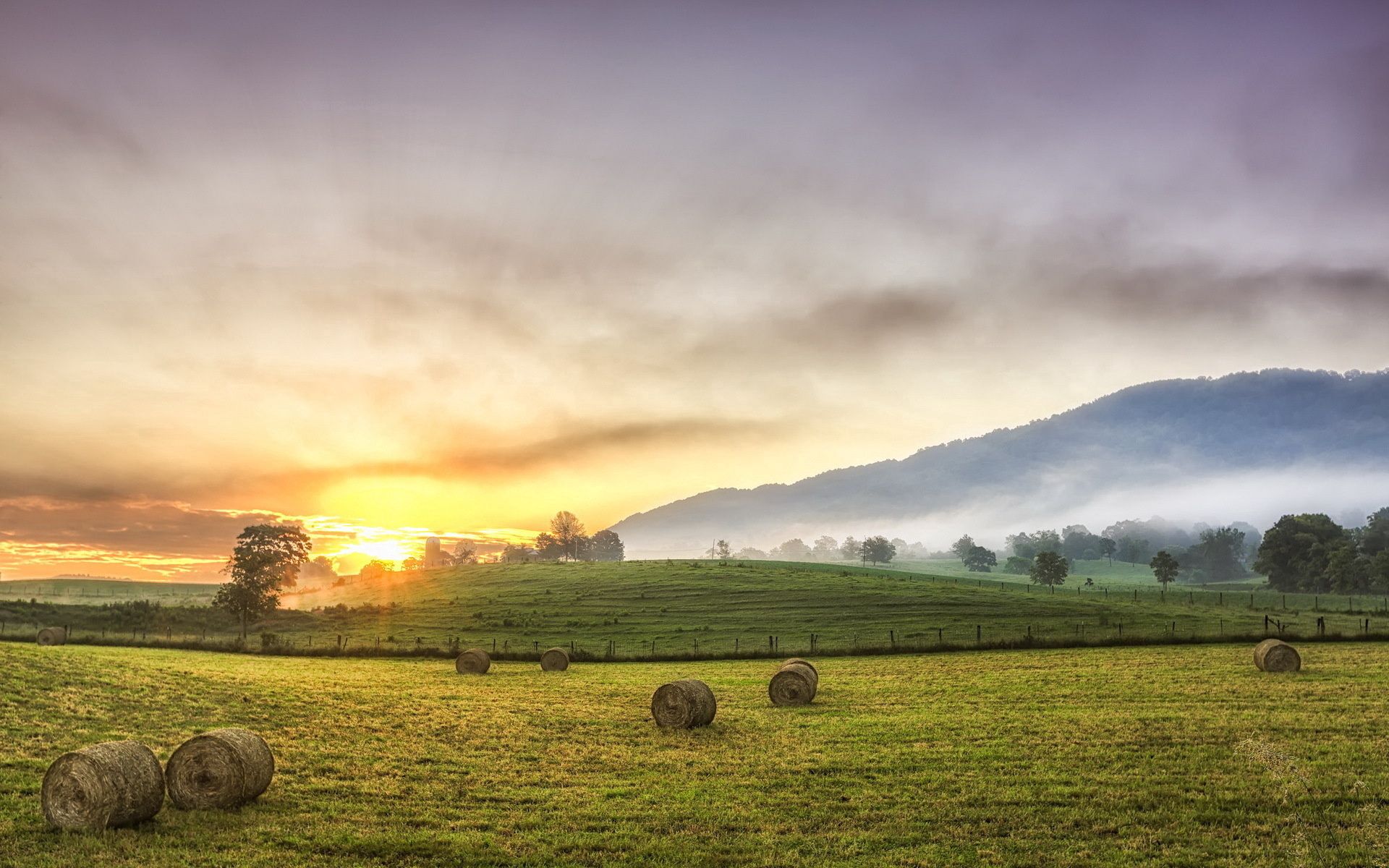 trees, bales, serenity, august, mountains, fog, polyana, hay, sun, glade, nature UHD