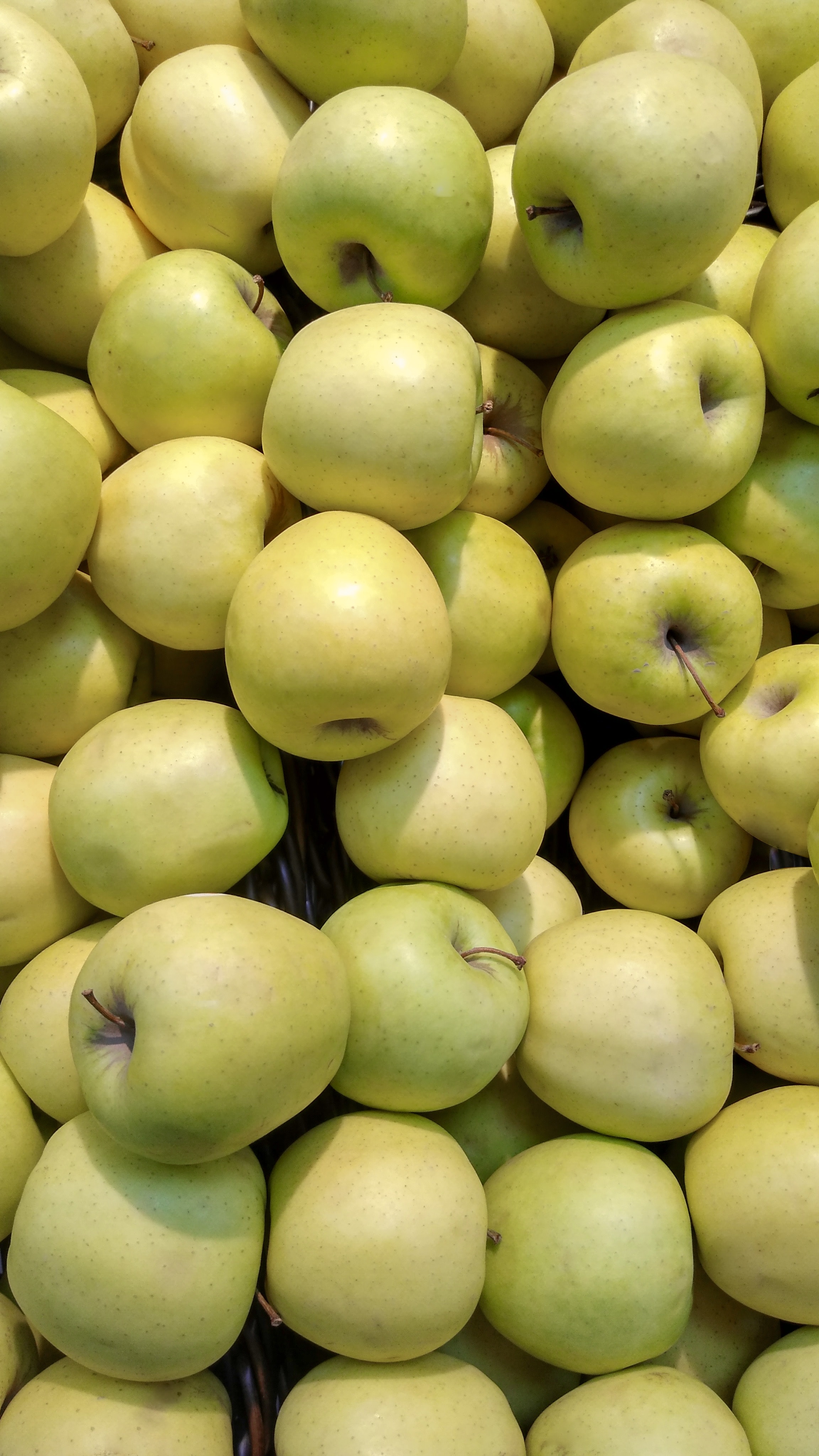 Free Images green, harvest, apples, food Fruits