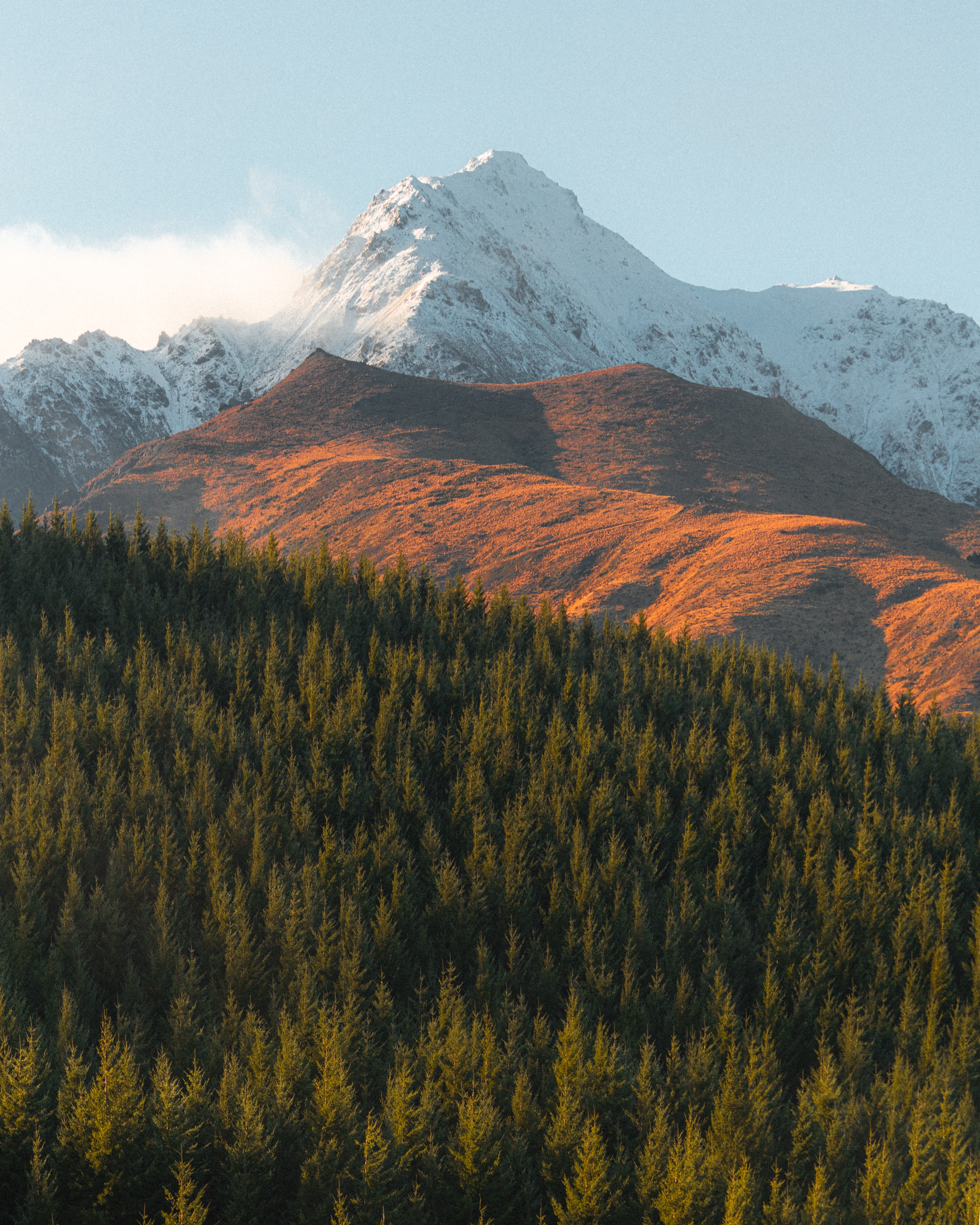 Laden Sie das Natur, Bäume, Mountains, Scheitel, Nach Oben, Fir, Fichte, Schneebedeckt, Snowbound-Bild kostenlos auf Ihren PC-Desktop herunter