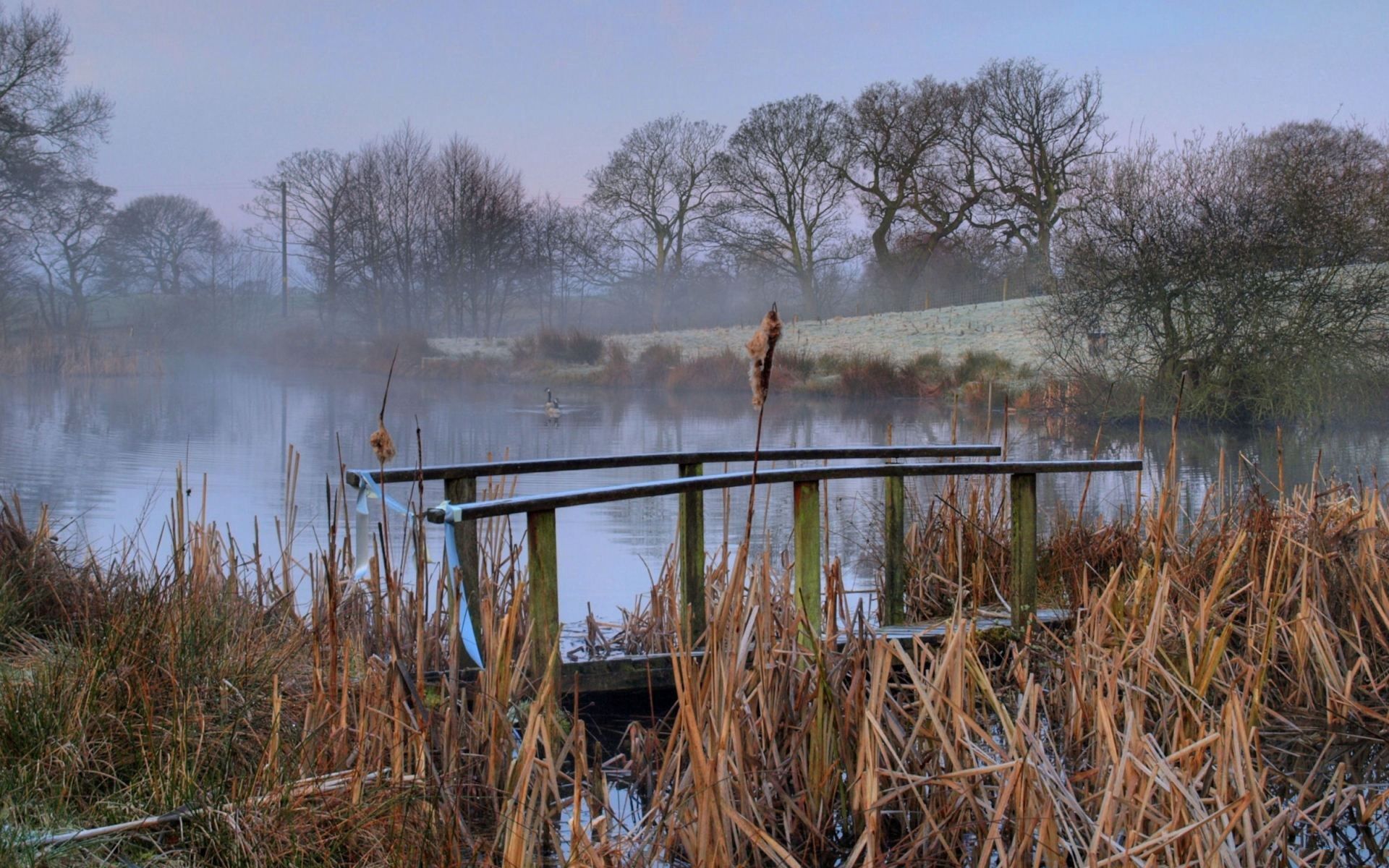 Free Backgrounds bridge, morning, haze, pond