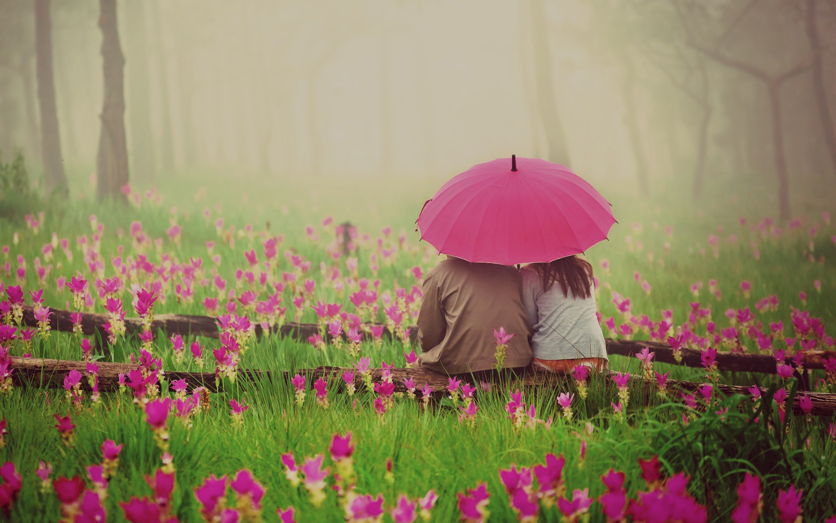 love, flower, umbrella, photography collection of HD wallpaper