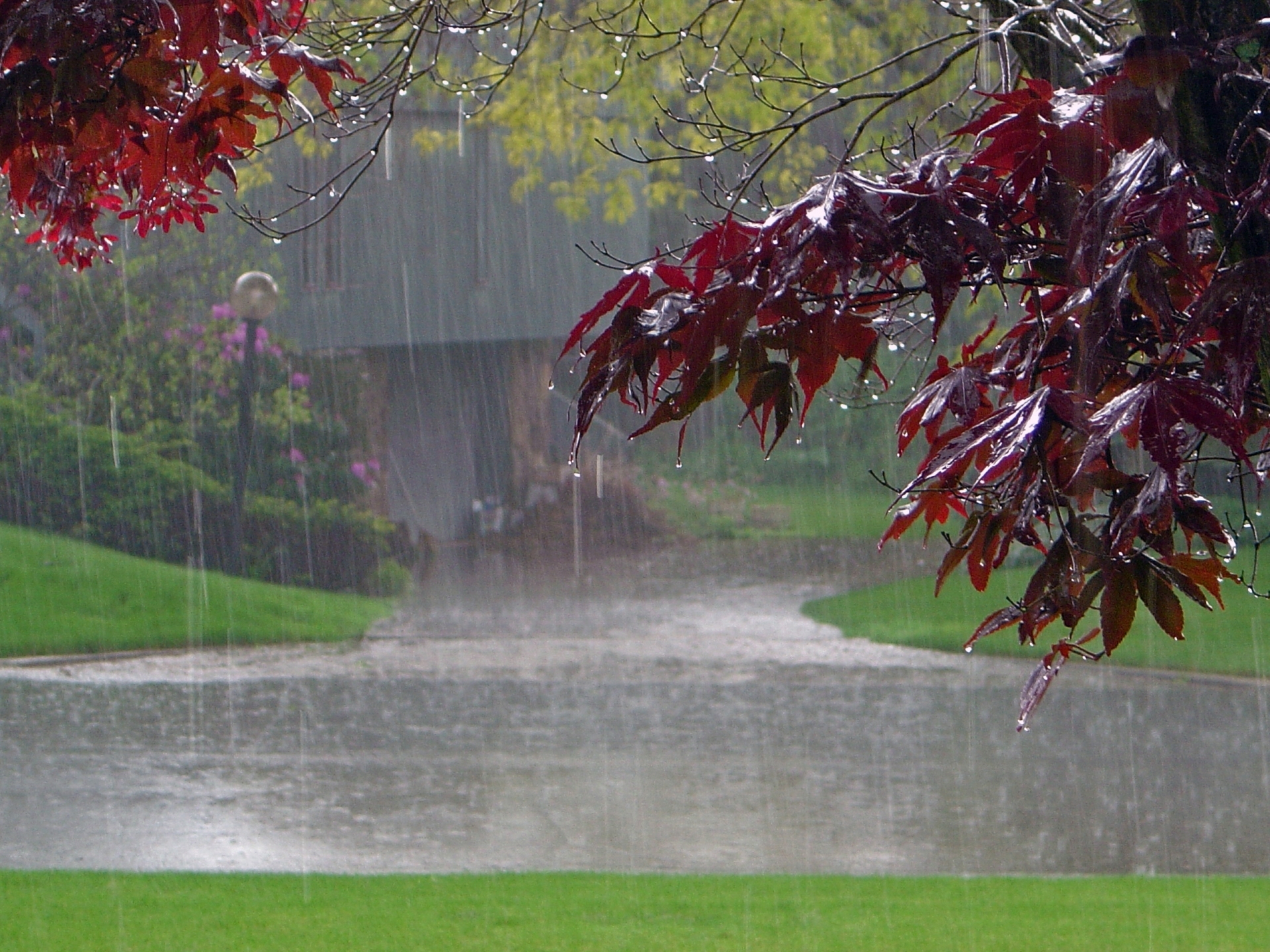 rain, photography, fall download HD wallpaper
