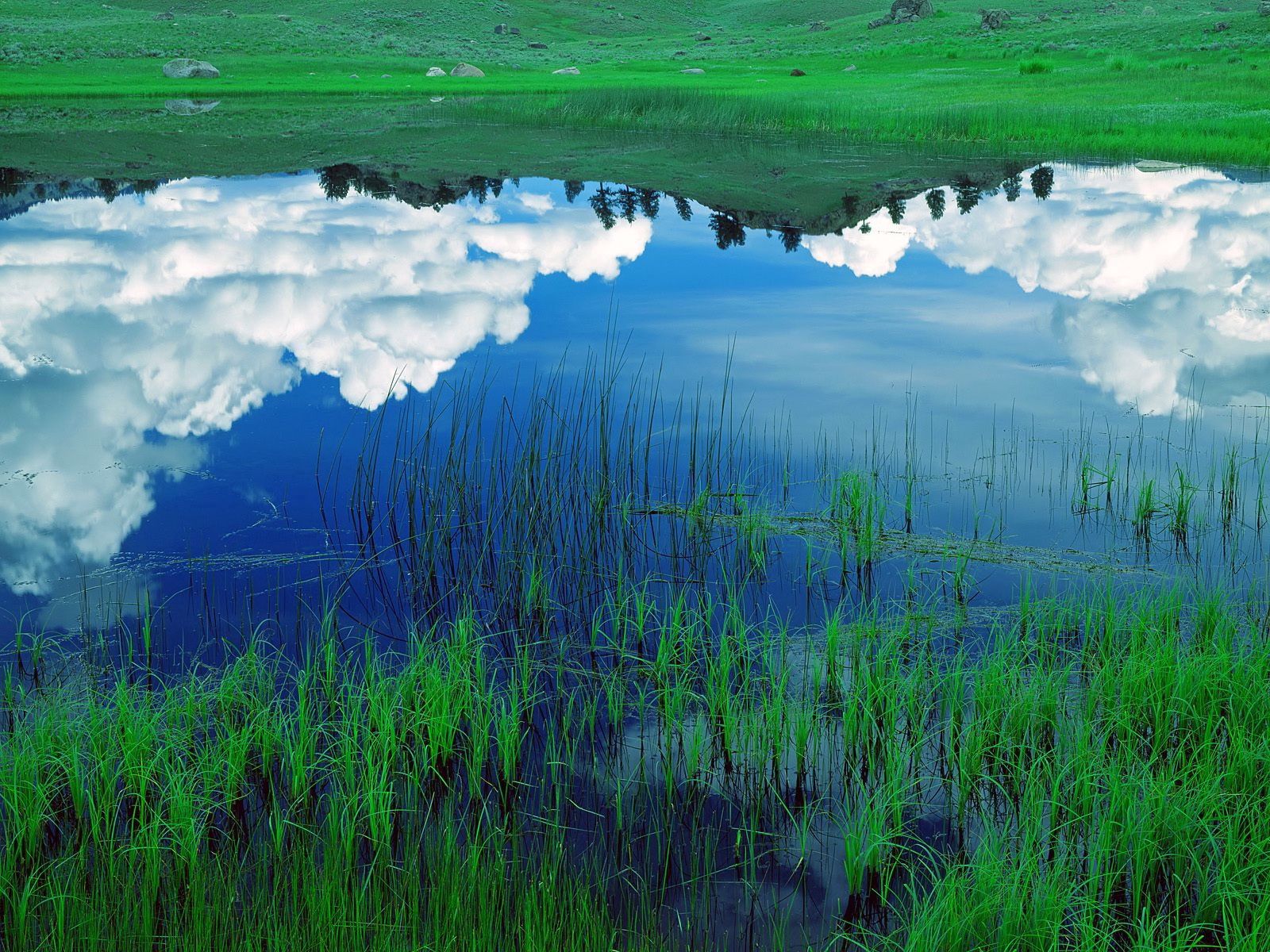 Laden Sie das Natur, Grass, Sky, Clouds, See, Reflexion, Feld-Bild kostenlos auf Ihren PC-Desktop herunter