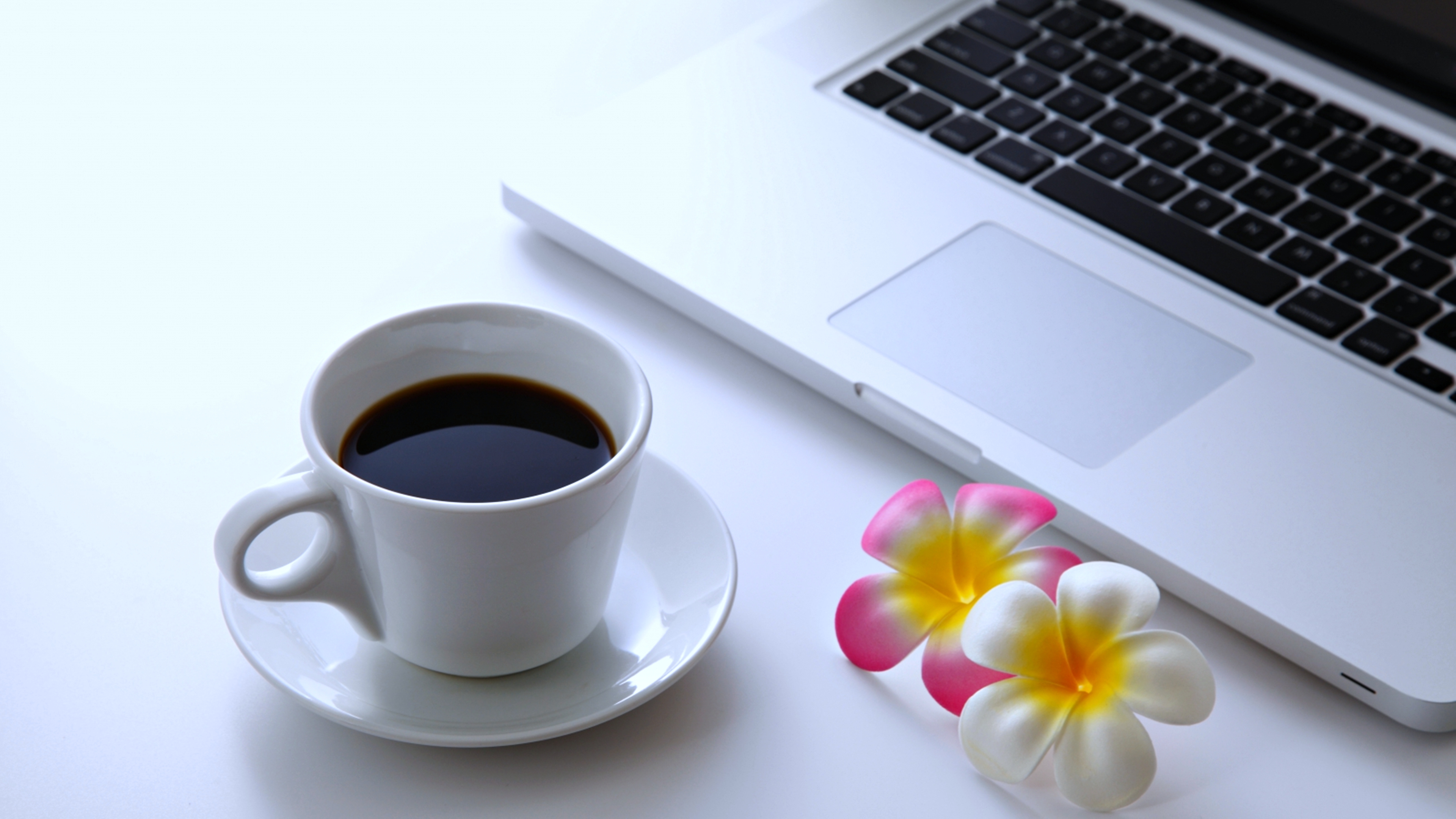 laptop, food, coffee, cup, flower Smartphone Background