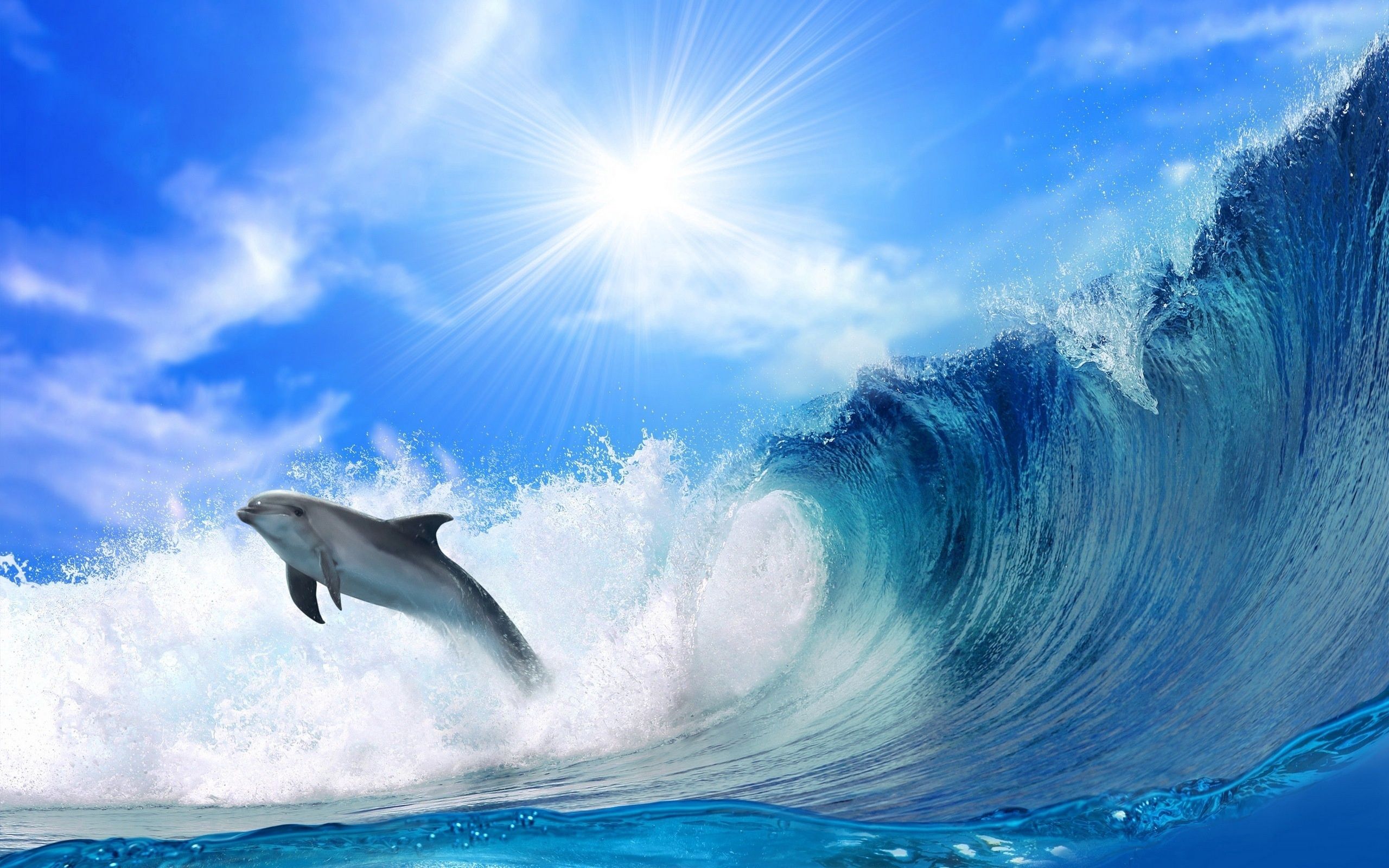 115246 Bildschirmschoner und Hintergrundbilder Delfin auf Ihrem Telefon. Laden Sie springen, prallen, tiere, waves Bilder kostenlos herunter