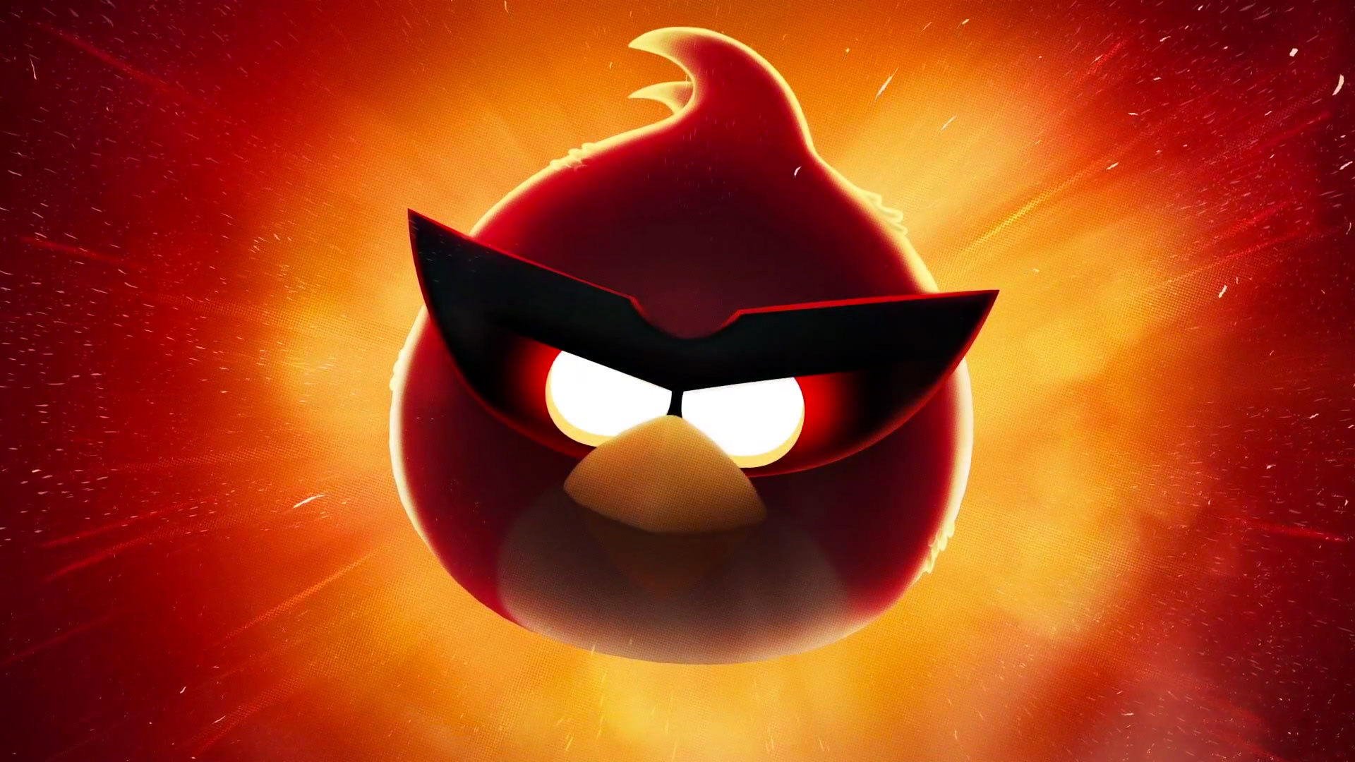 angry birds, games, birds QHD