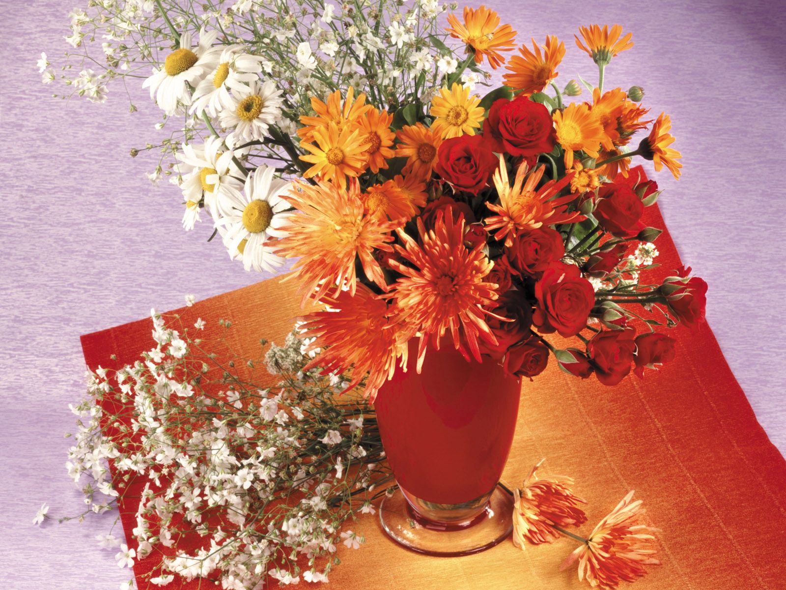 flowers, roses, chrysanthemum, vase, daisies