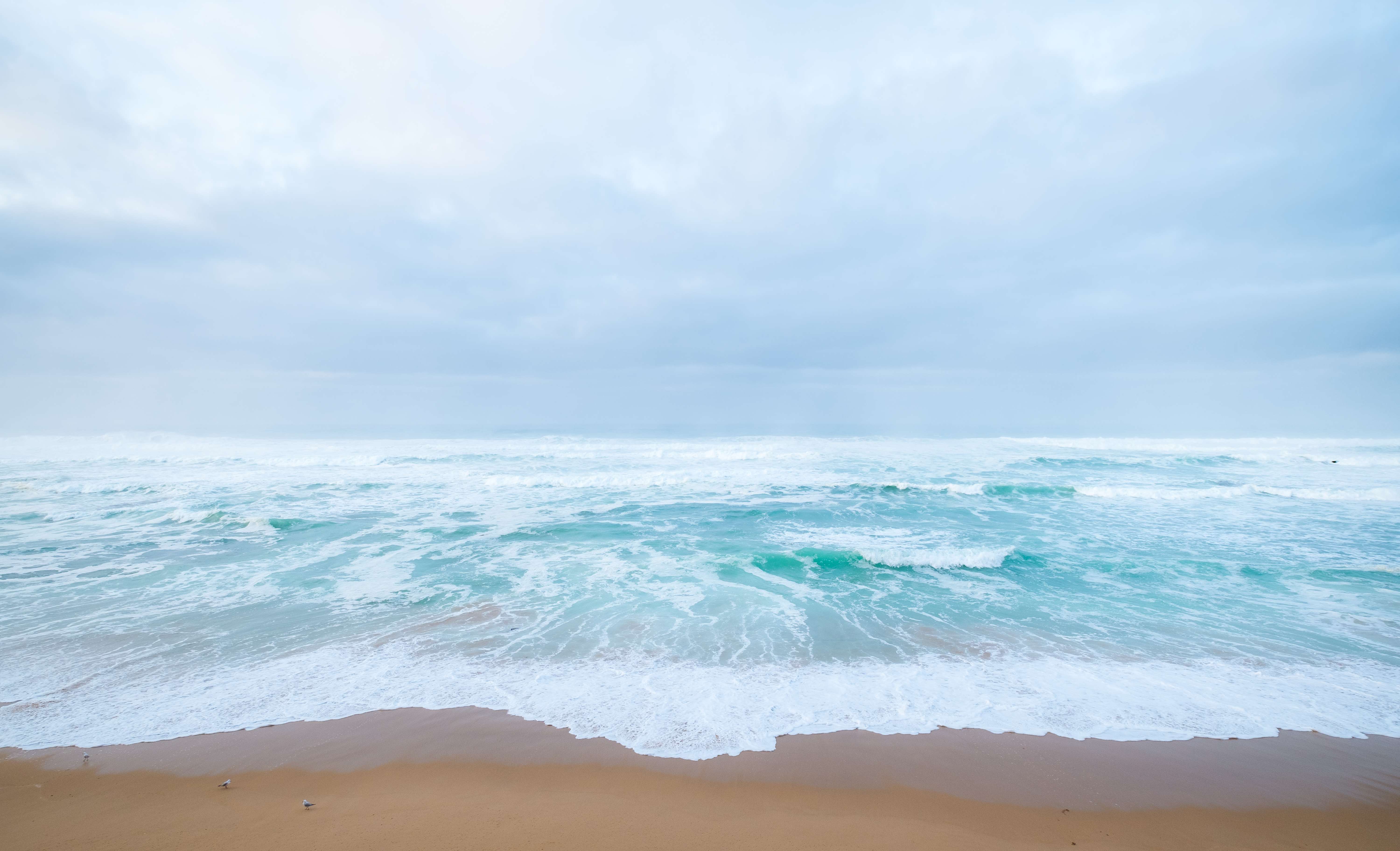 51101 Bild herunterladen natur, sea, strand, sand, küste - Hintergrundbilder und Bildschirmschoner kostenlos