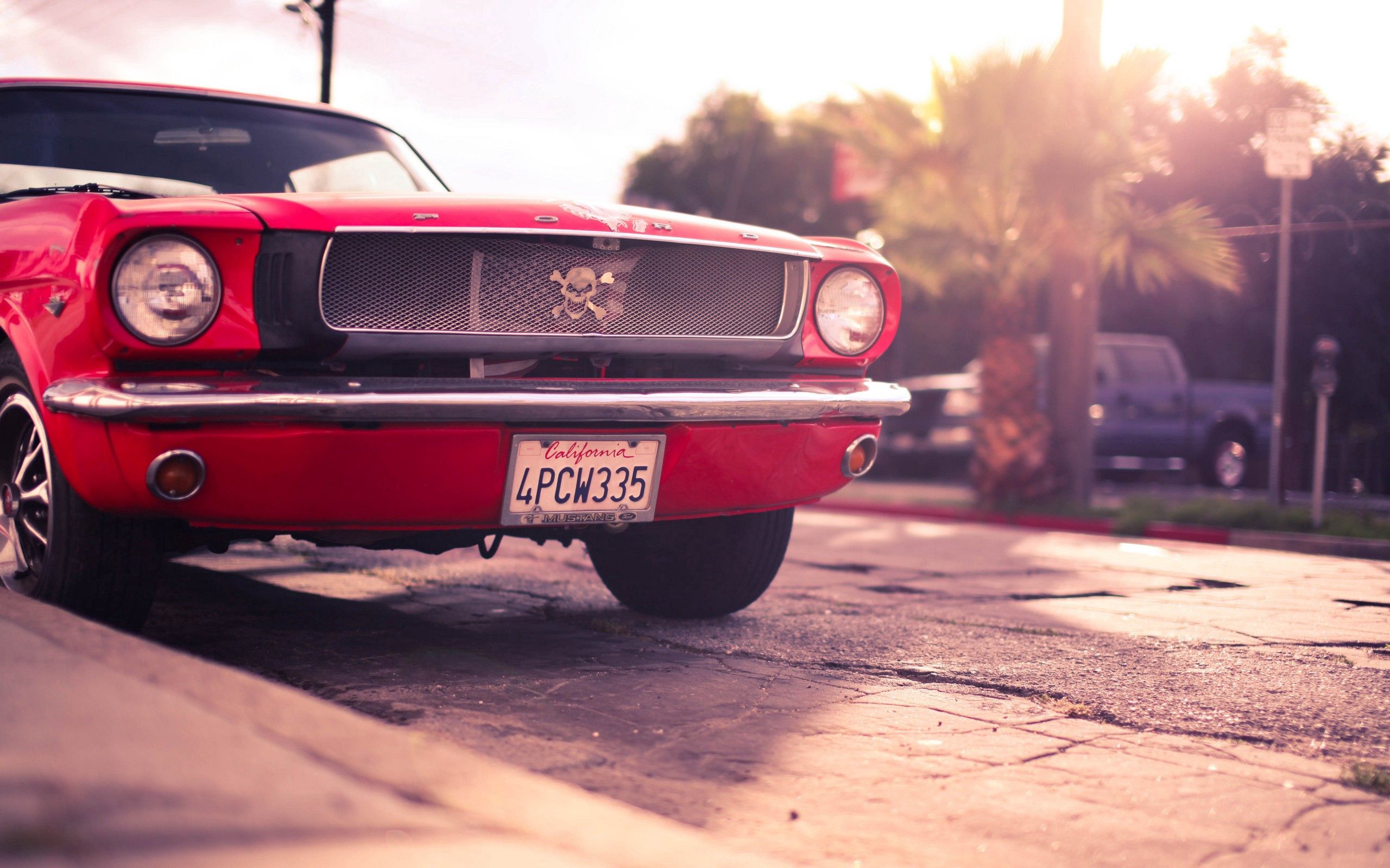 auto, mustang, cars, red Windows Mobile Wallpaper