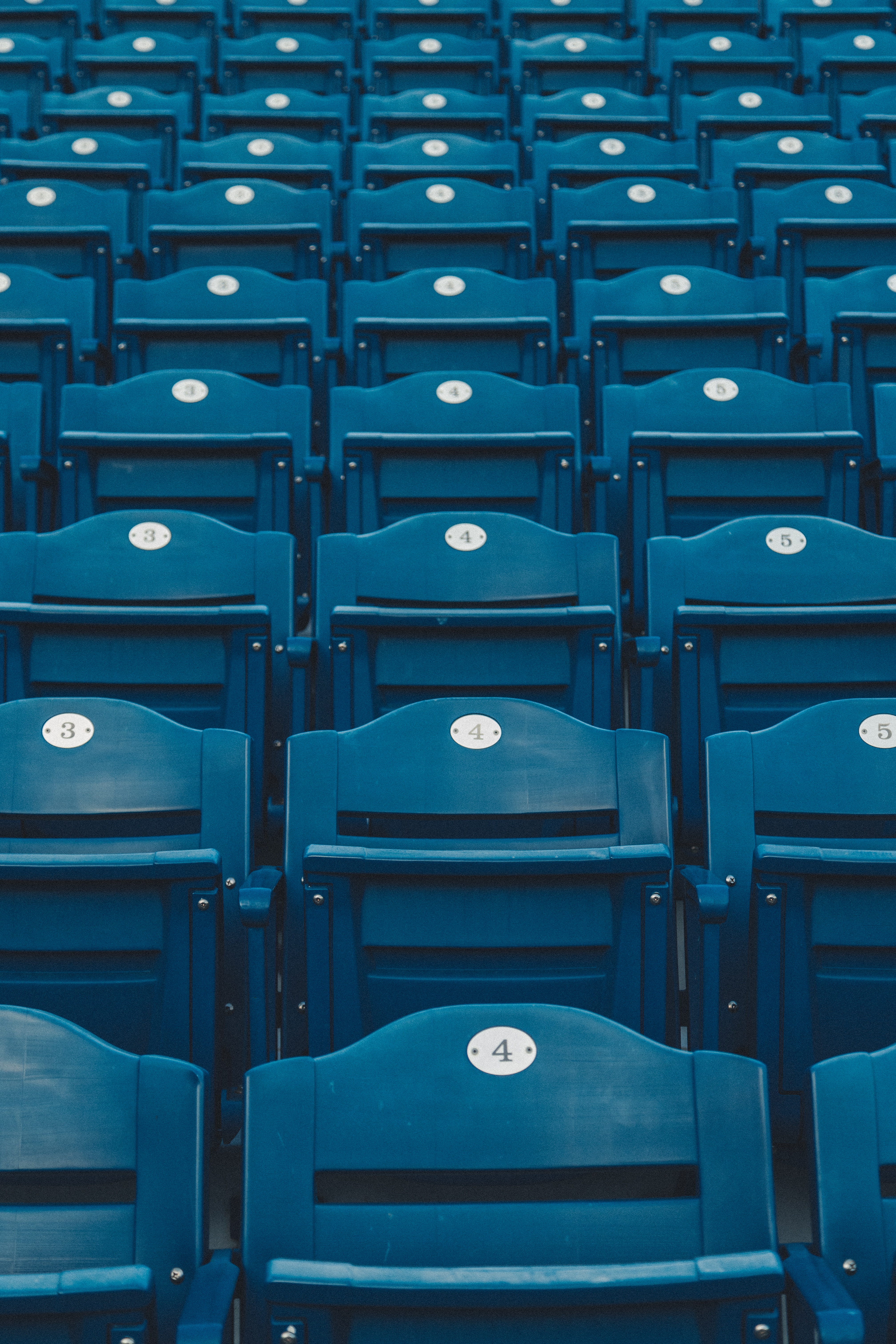 rows, seats, blue, tribune, seat, ranks, minimalism