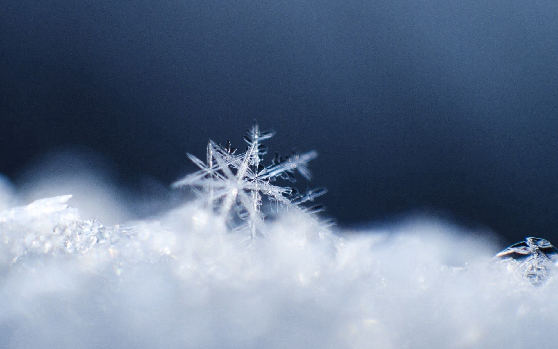 Desktop Backgrounds Snowflake surface, macro, snow