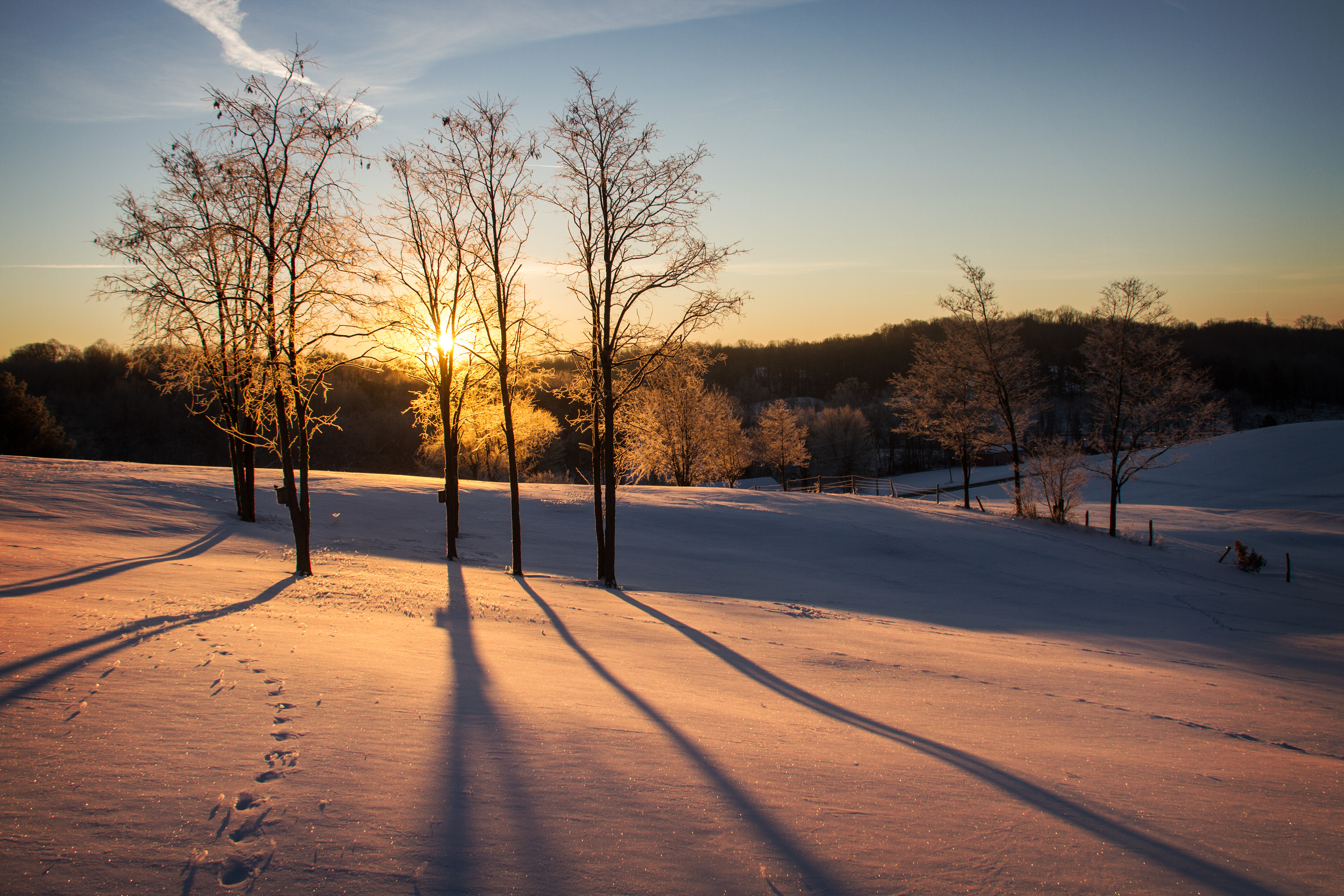 winter, nature, trees, sunset, twilight, snow, dusk cellphone
