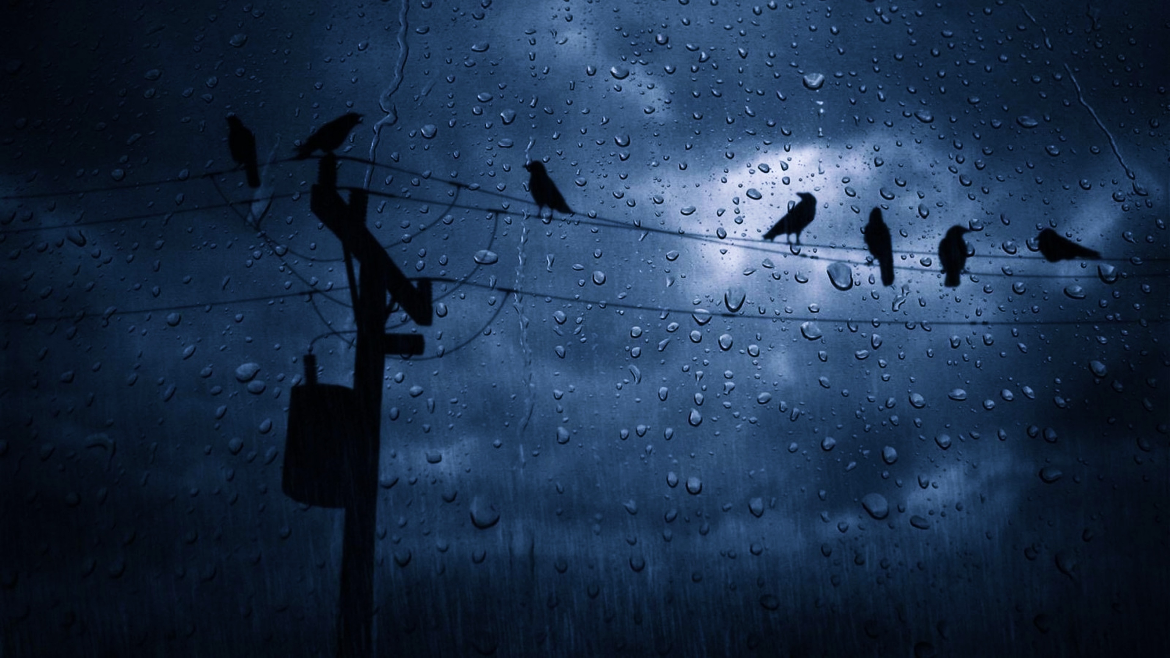 HD desktop wallpaper: Sky, Rain, Dark, Bird, Cloud, Photography, Water Drop  download free picture #686735