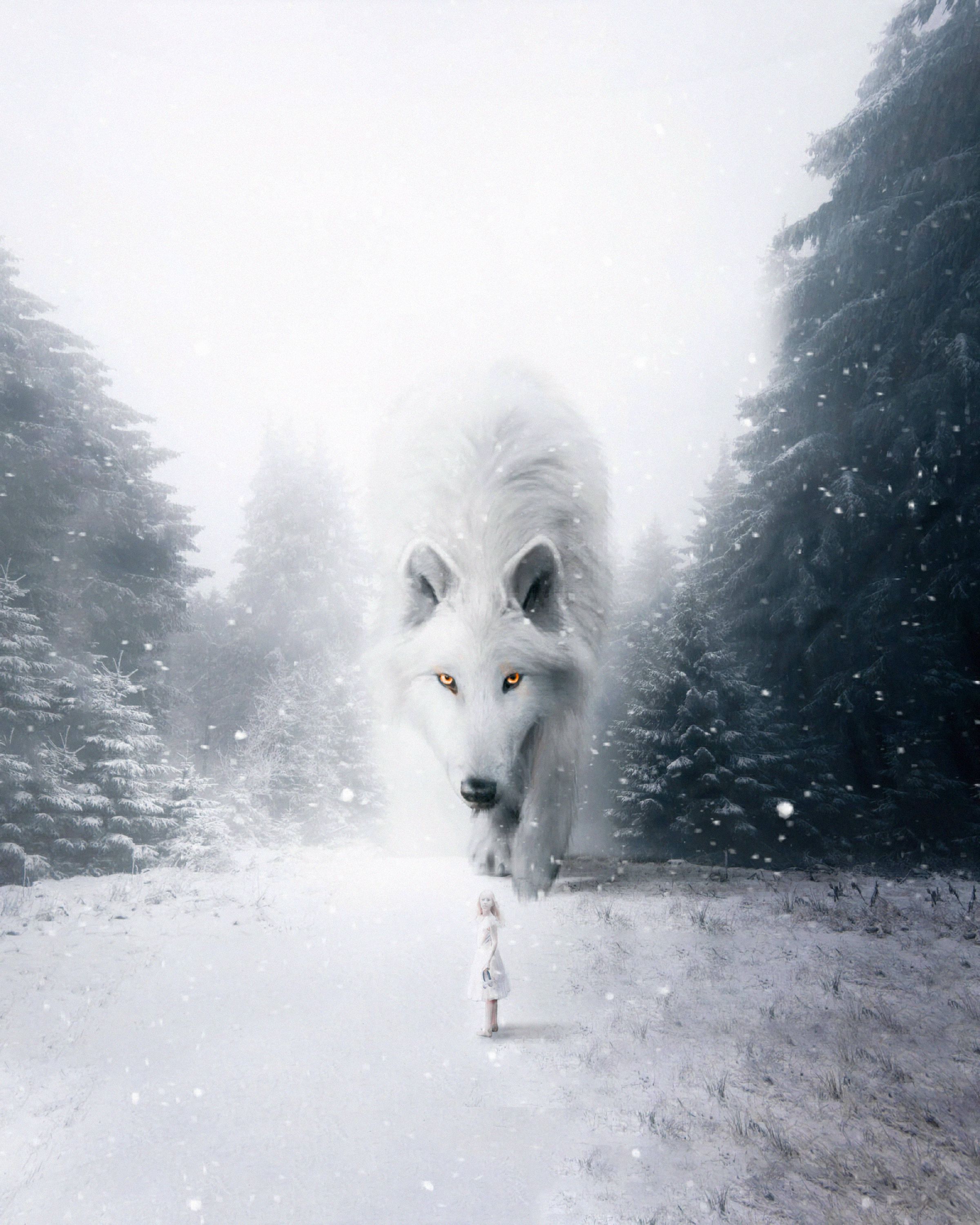 98910 Bildschirmschoner und Hintergrundbilder Wolf auf Ihrem Telefon. Laden Sie nebel, schnee, photoshop, weiß Bilder kostenlos herunter