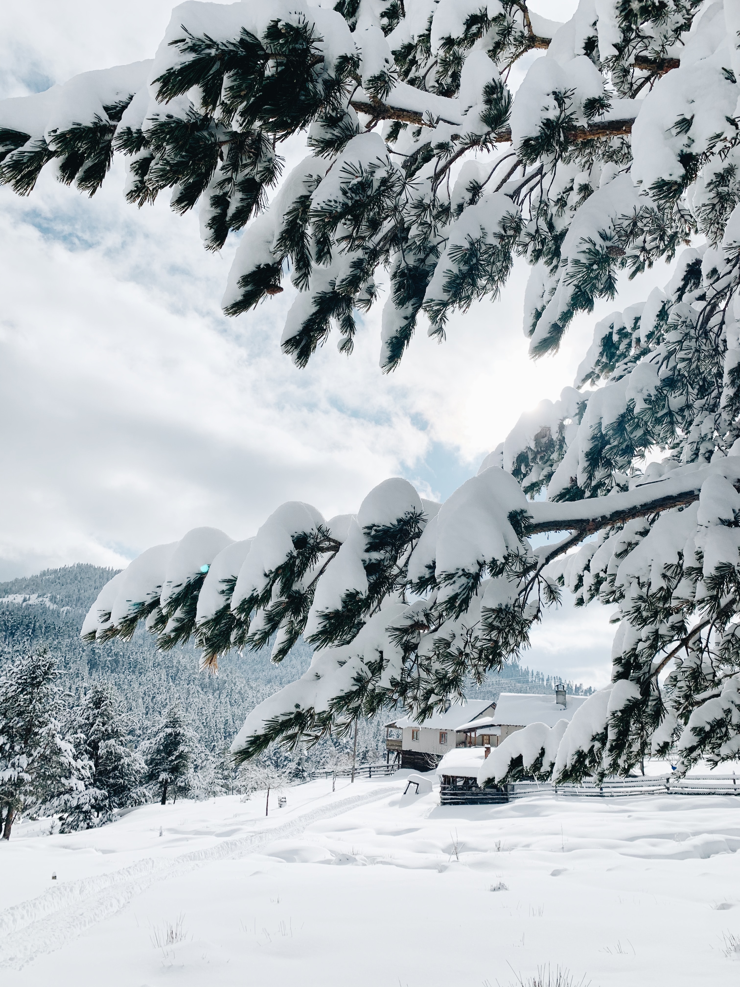 61157 Bild herunterladen landschaft, winter, natur, schnee, kleines haus, lodge - Hintergrundbilder und Bildschirmschoner kostenlos