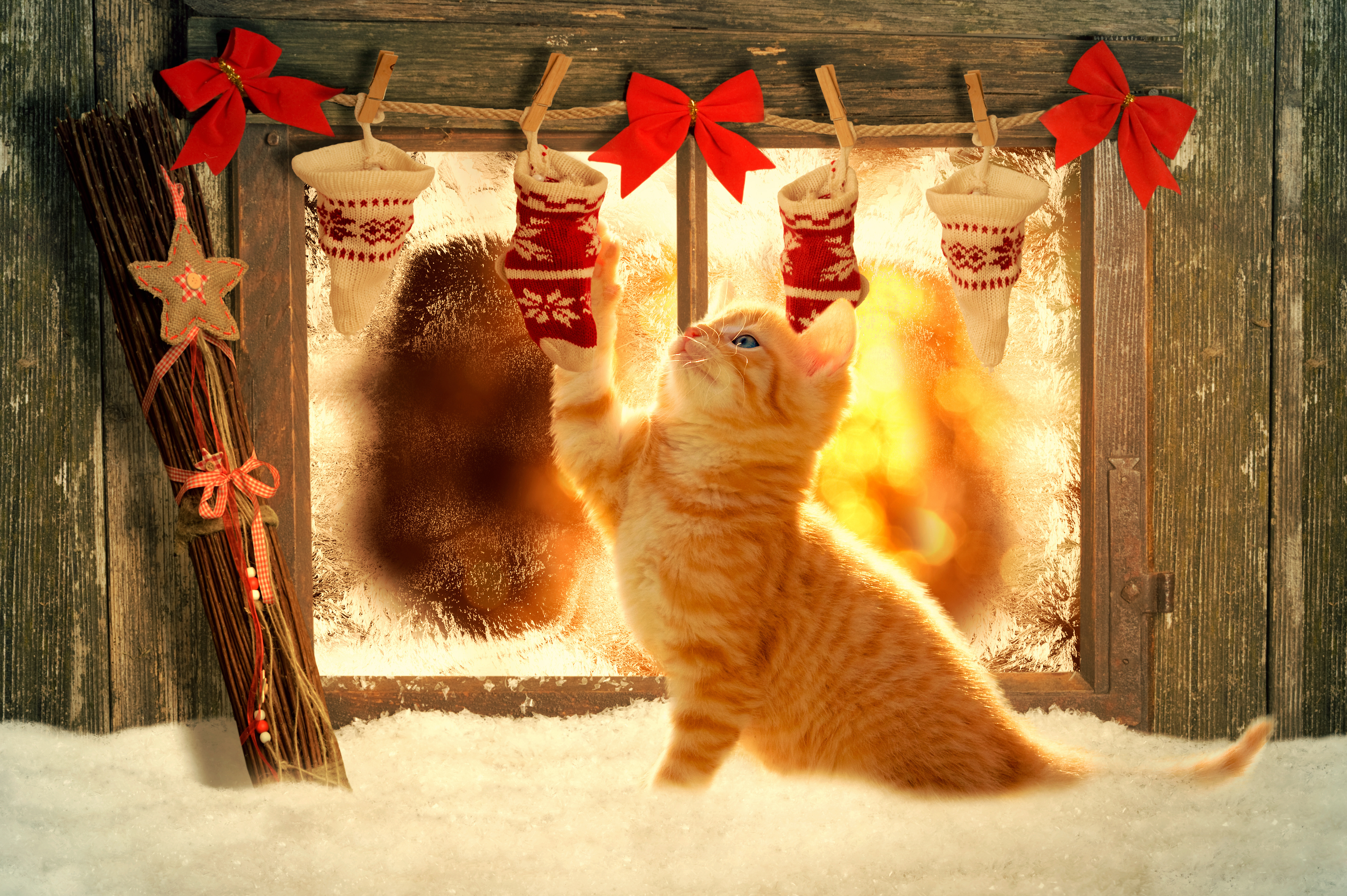 1522535 скачать обои кот, рождество, украшение, праздничные, рождественские украшения, оранжевый цвет), окно, древесина - заставки и картинки бесплатно