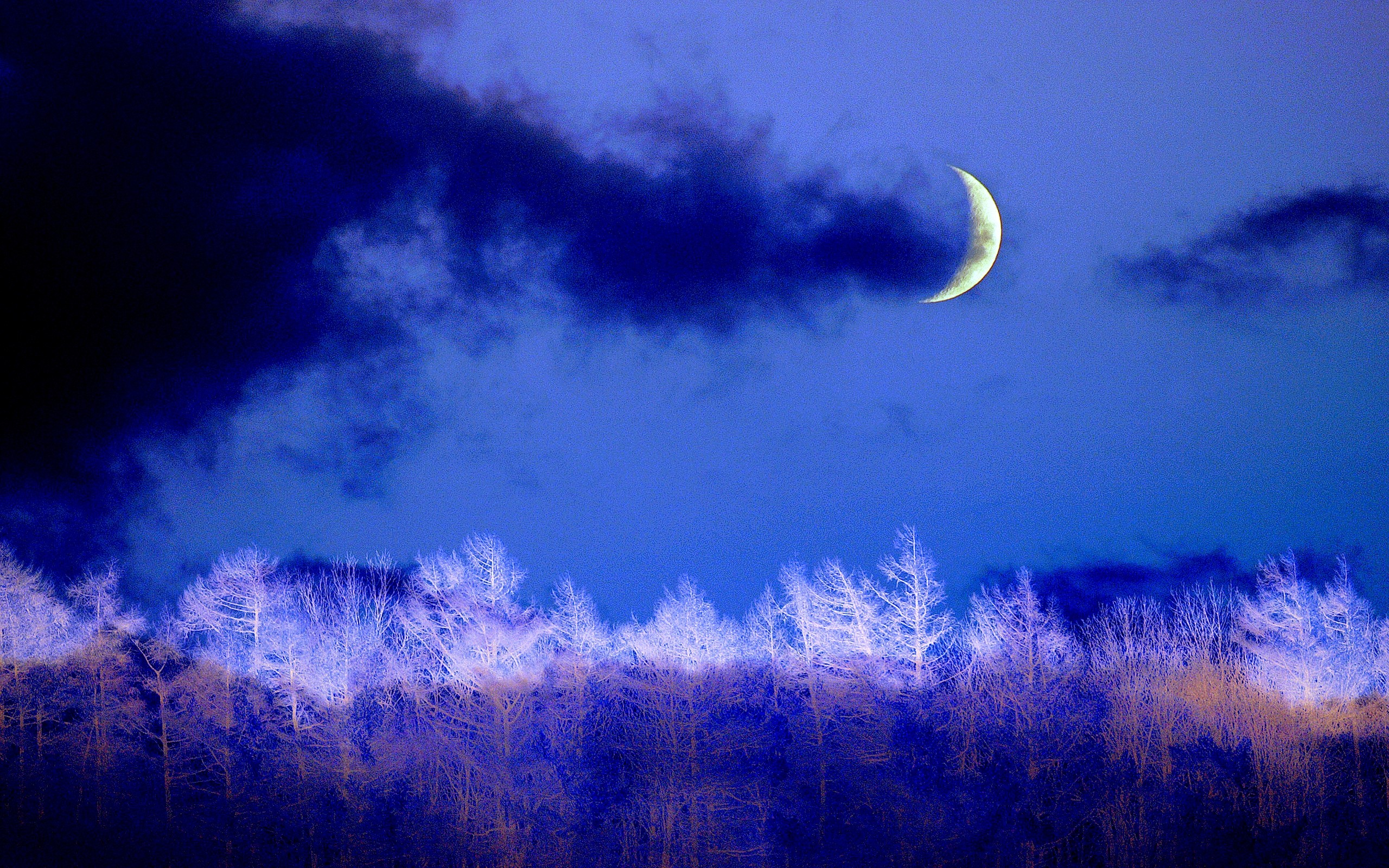 earth, night, blue, cloud, crescent, moon, tree, winter Full HD